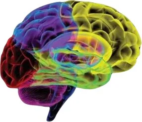 New Categories Create New Shelf Space in Your Brain
