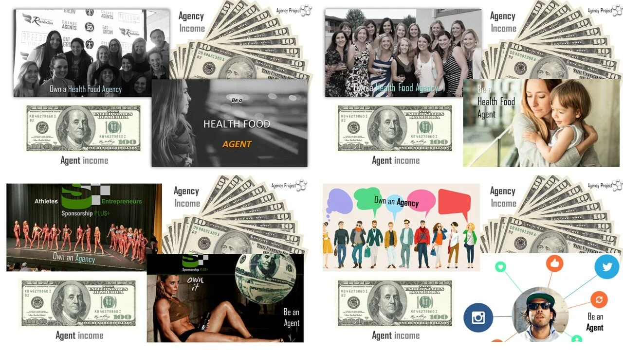 Agent and Agency Income.jpg