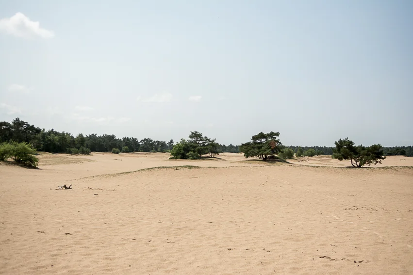 Nina_van_Ewijk-148.jpg