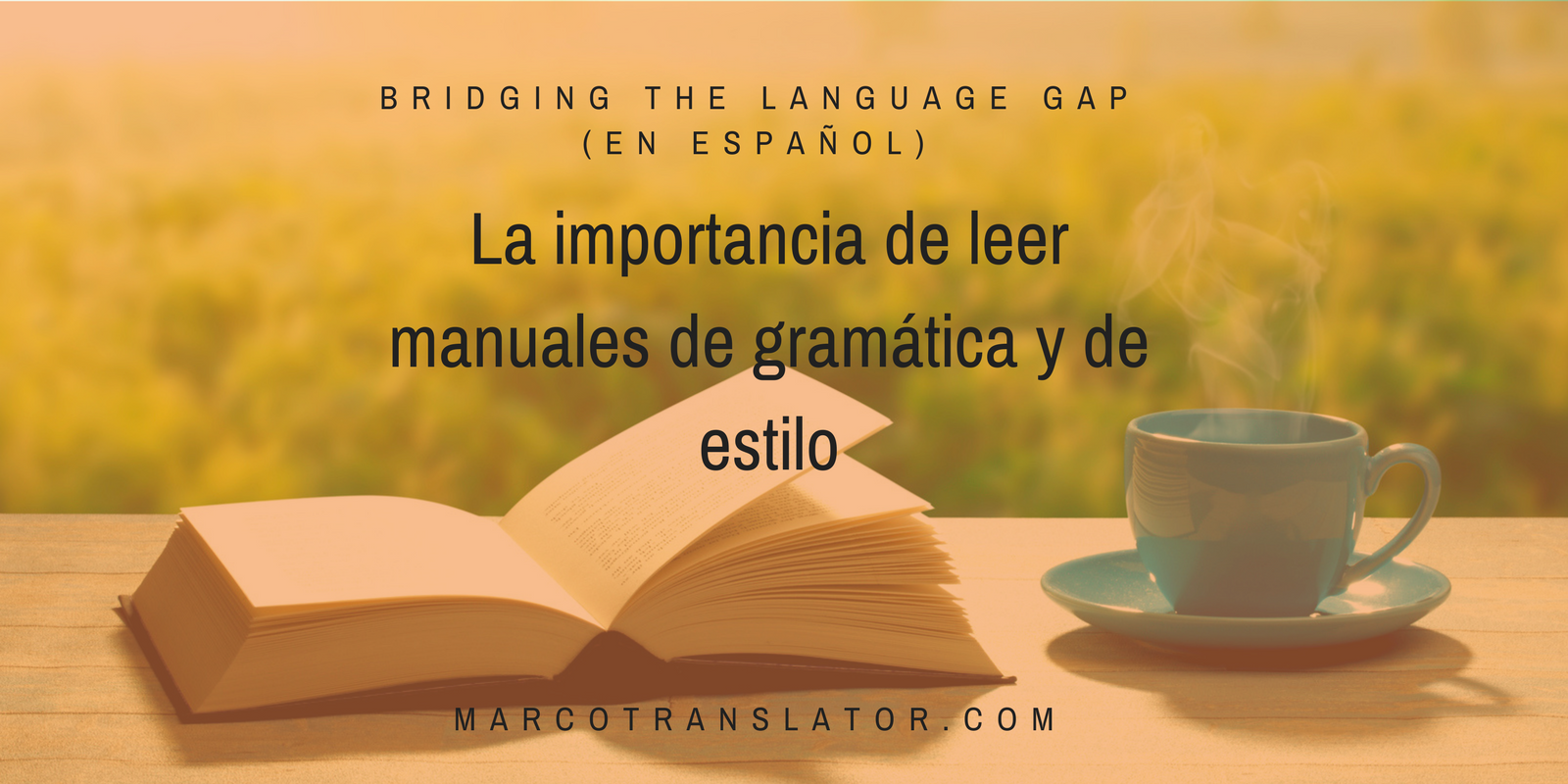 Bridging the Language Gap In Spanish 2.png
