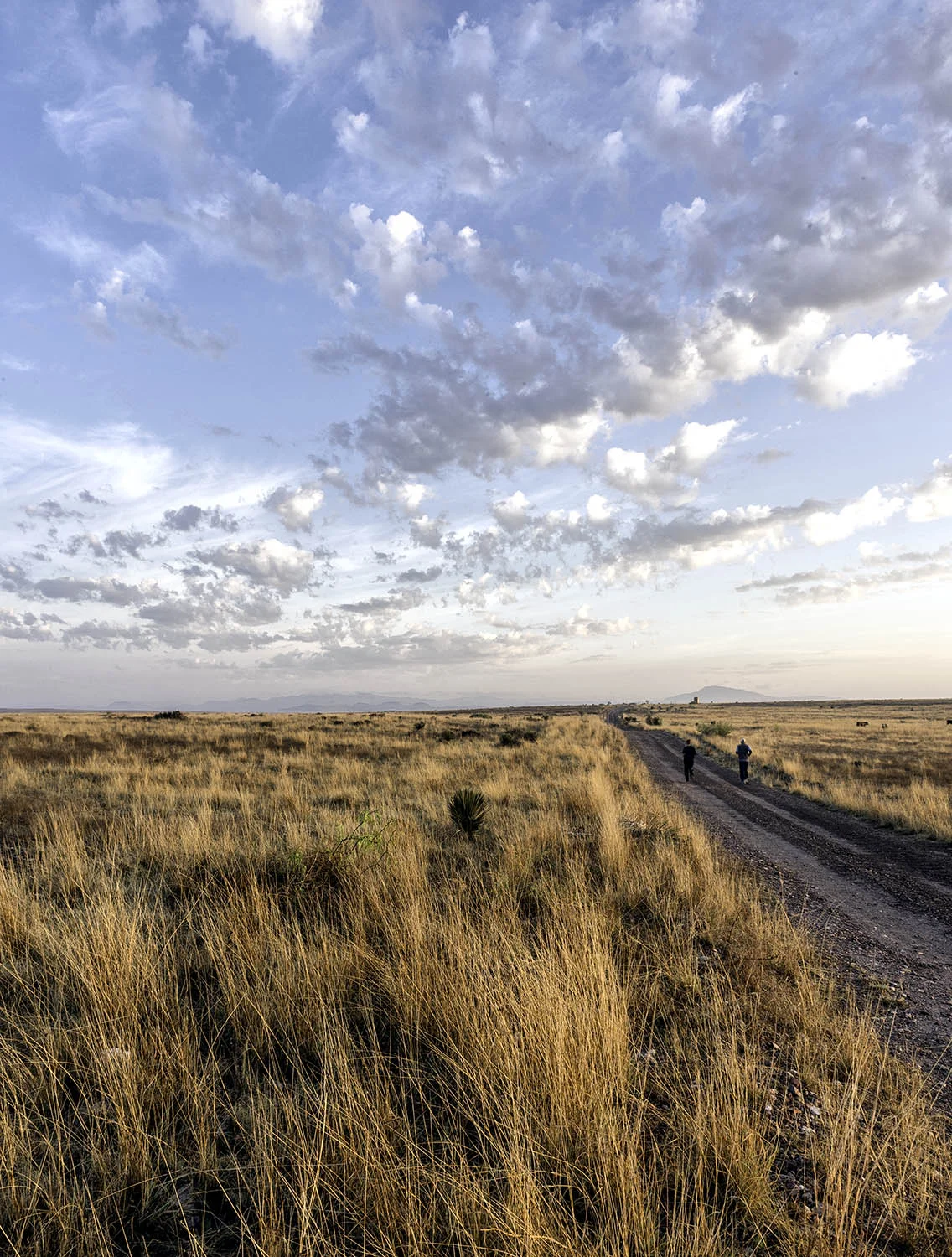 Ranch and Sky