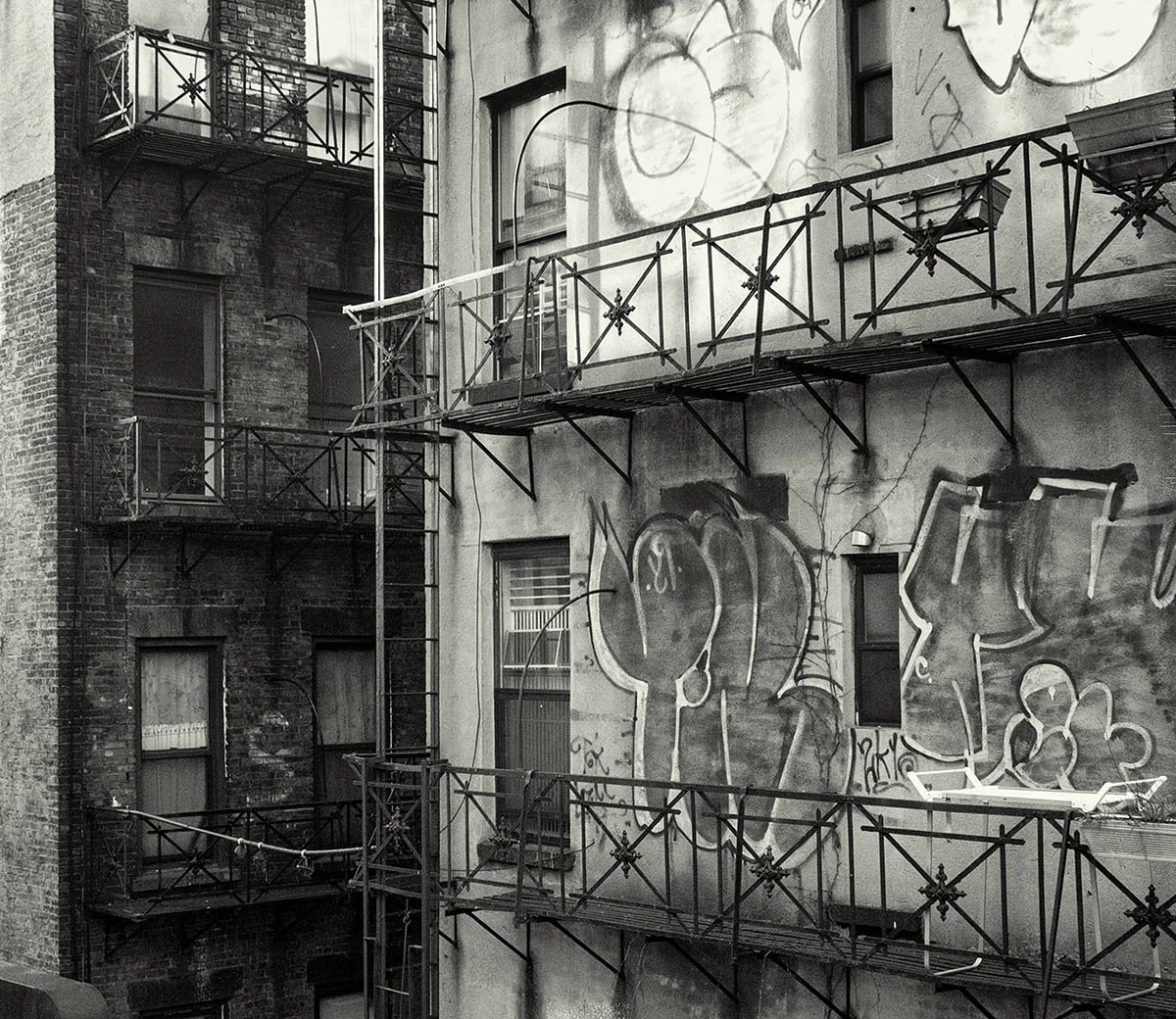 Looking Out My Window