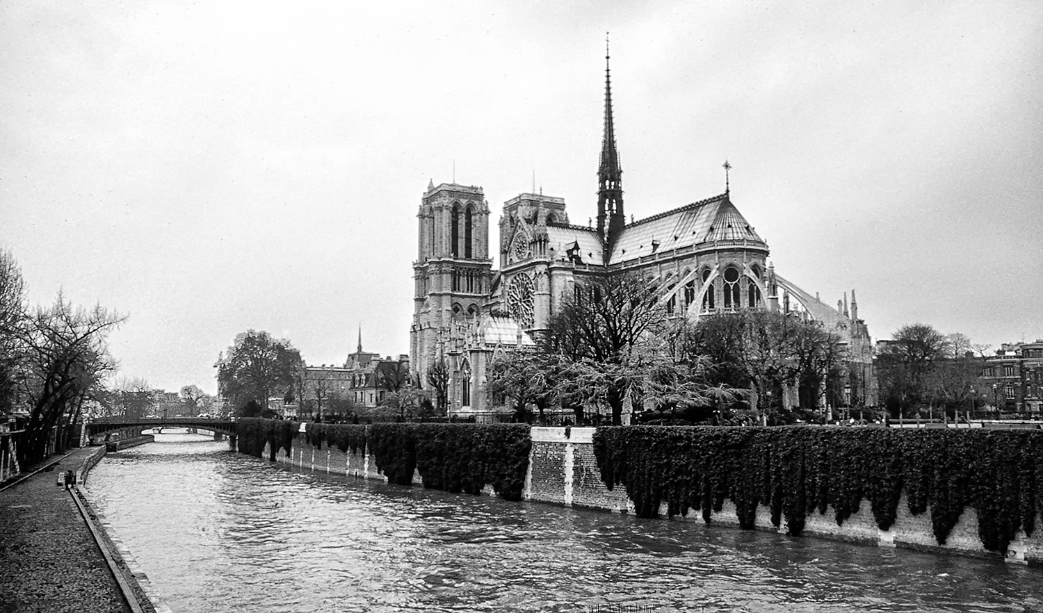 …the Cathedral
