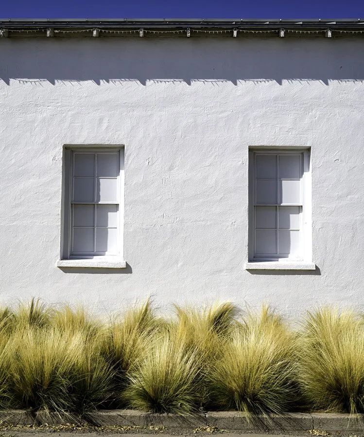 Marfa Roof Windows and Grass