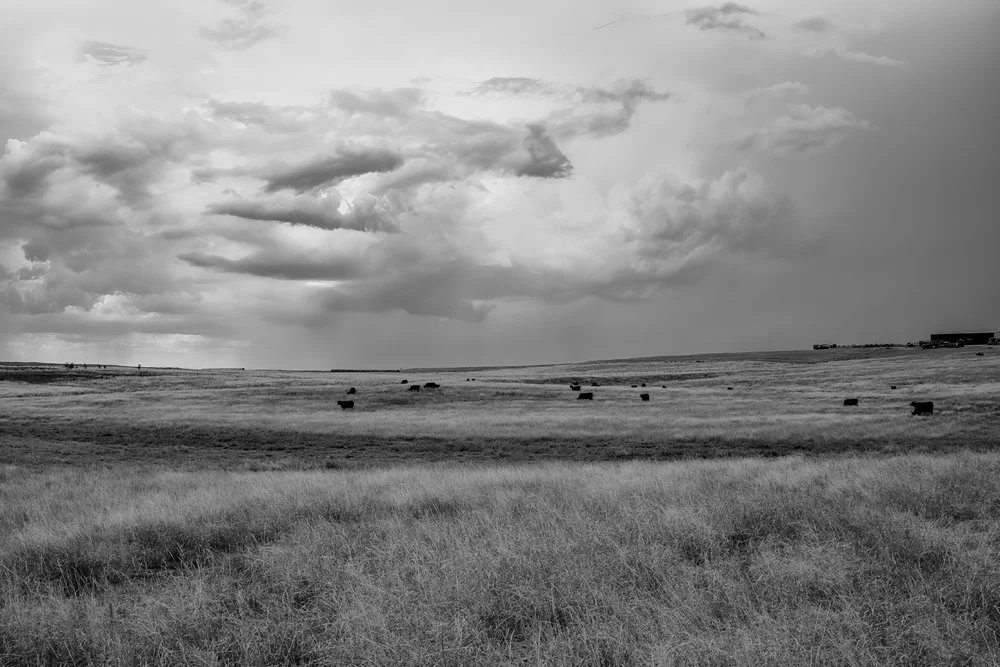 Storm Over Taylor