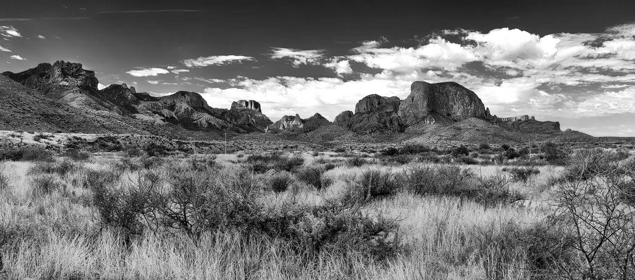 Chisos Landscape 1.0
