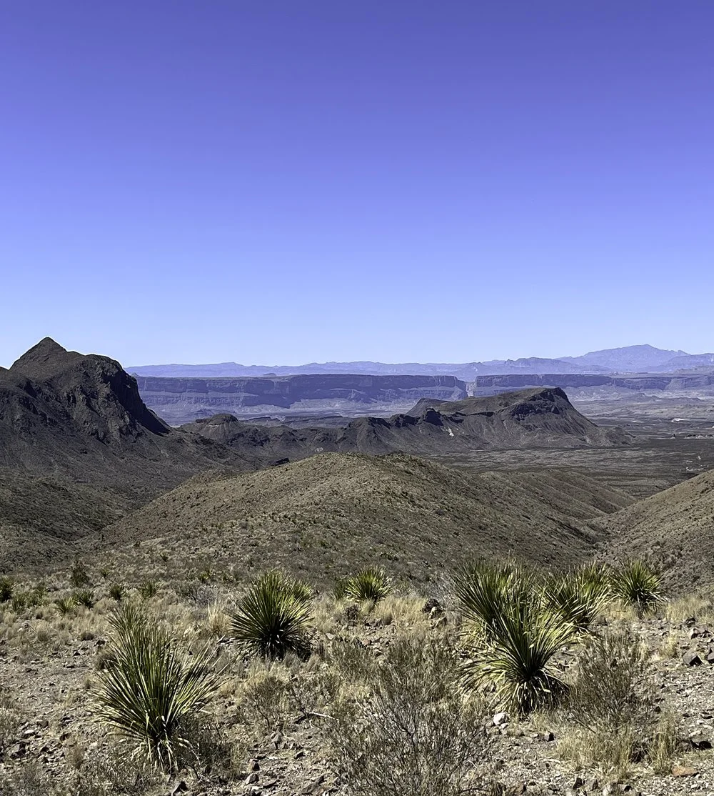 Sotol Vista