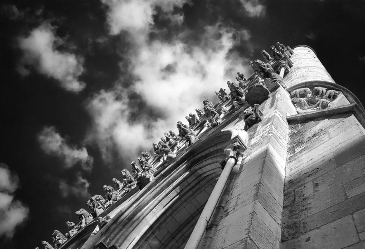 Gargoyles Notre Dame