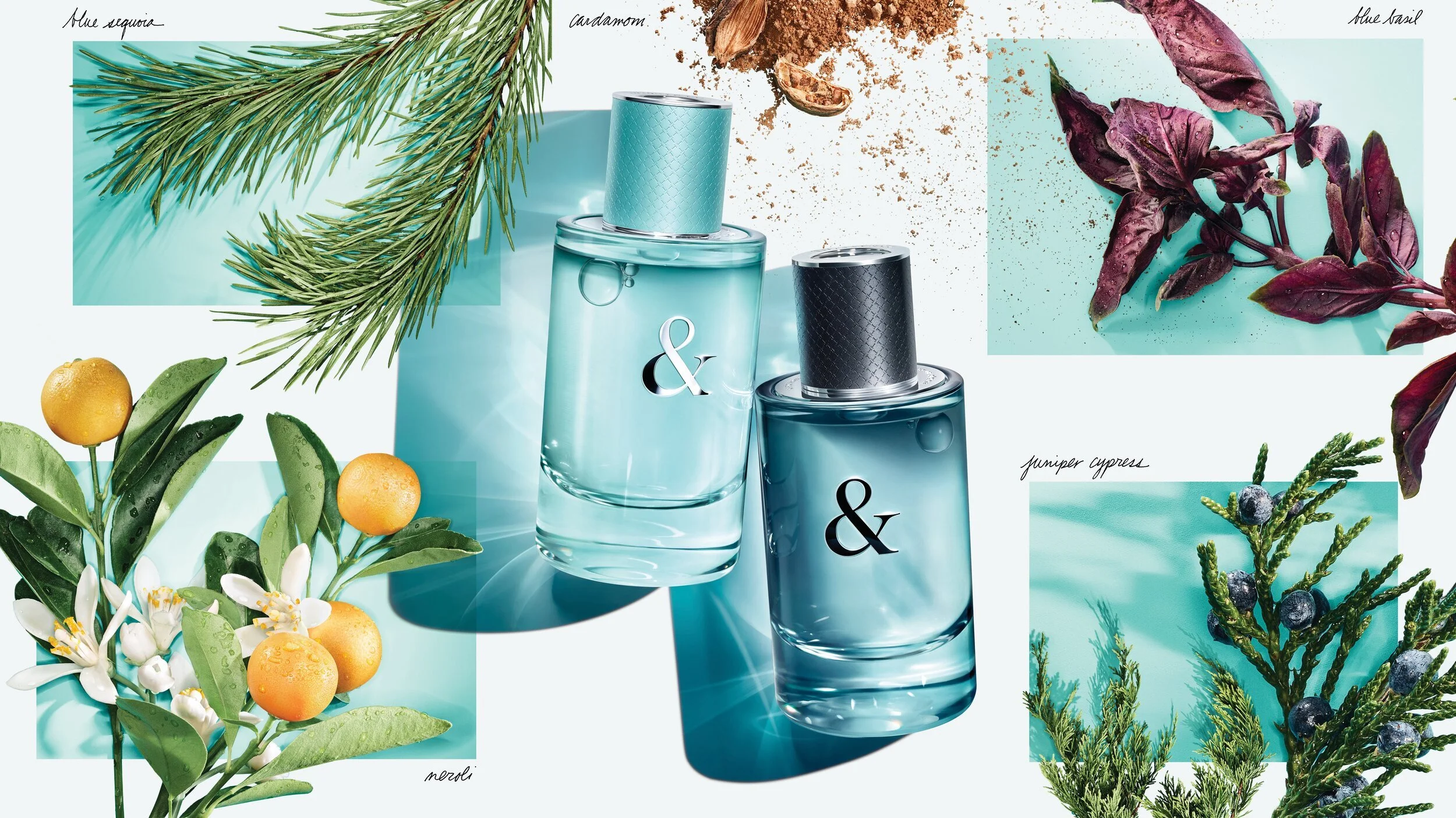 Tiffany &Love Fragrance