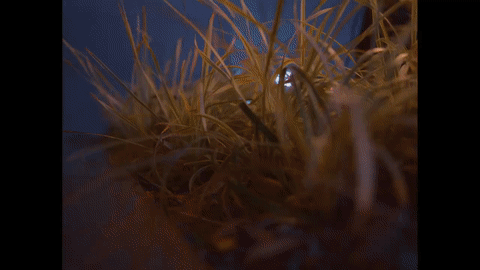 Nightlife, Hong Kong