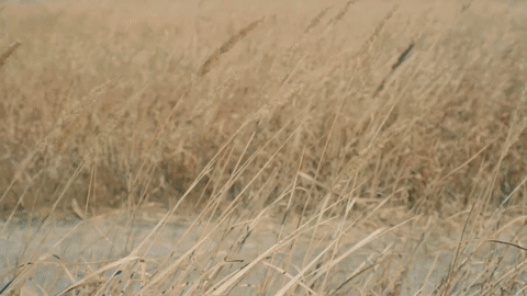 Jiyong Kim Spring 2023 Campaign