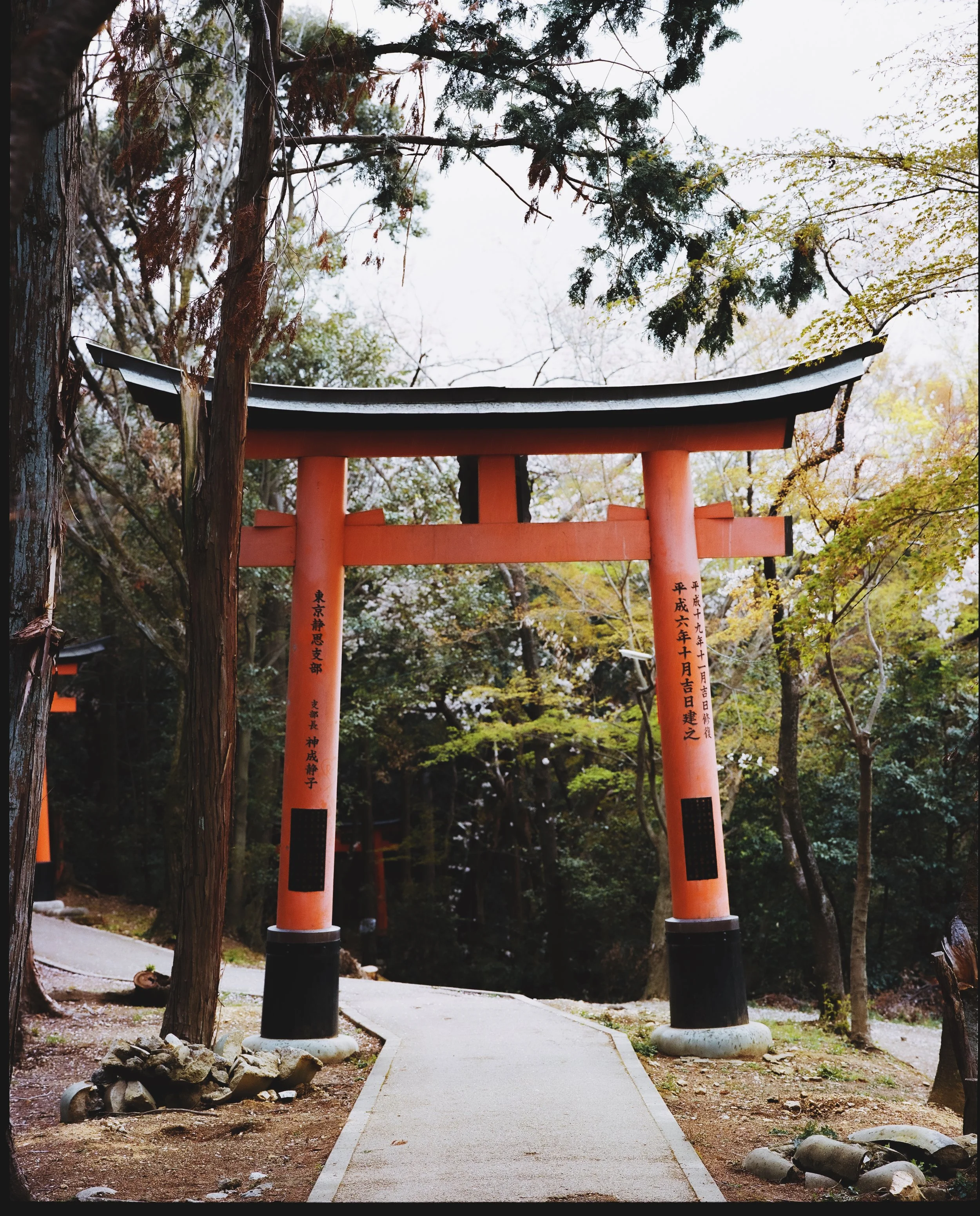 "TORII"