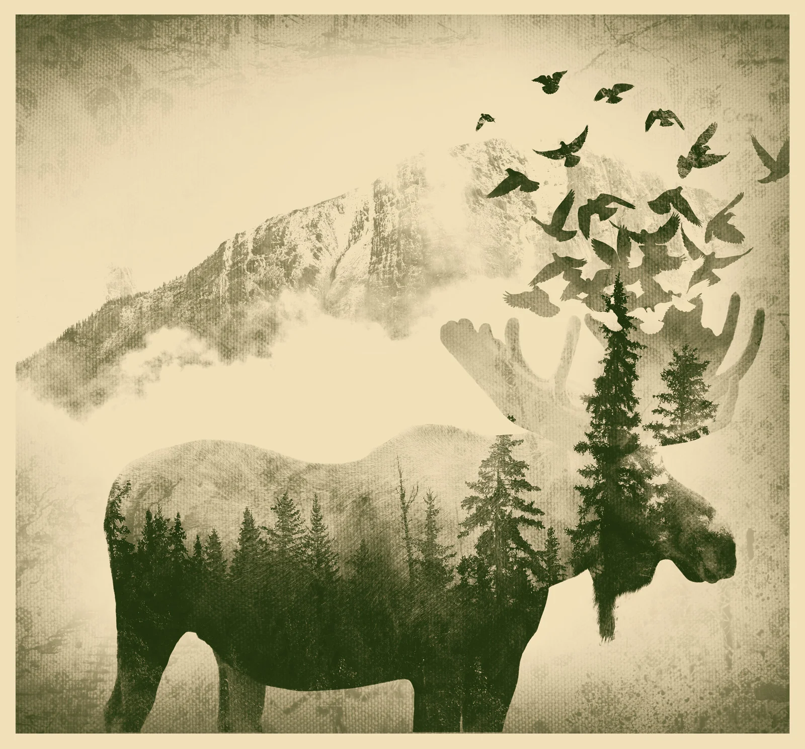 COMPOSITE-Moose.jpg