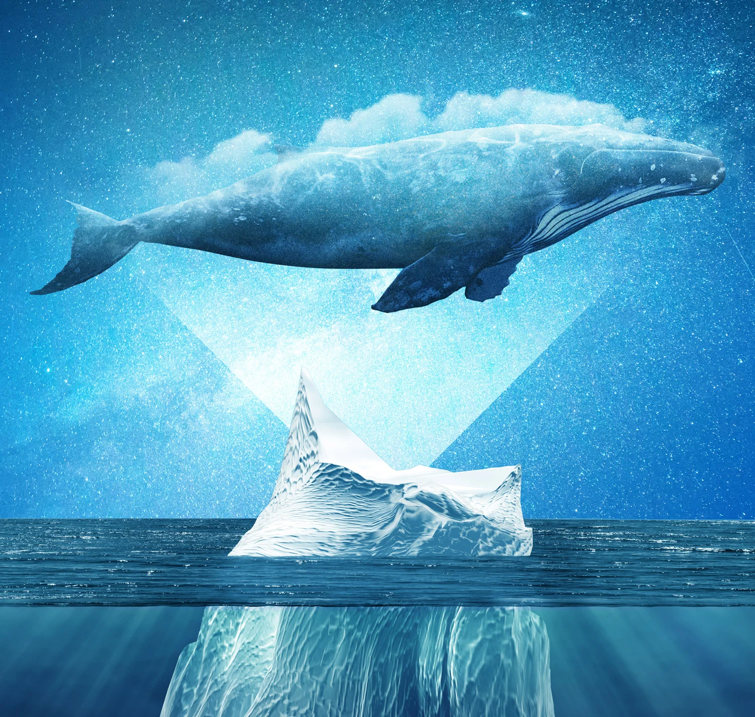 WhaleTale-IG.jpg
