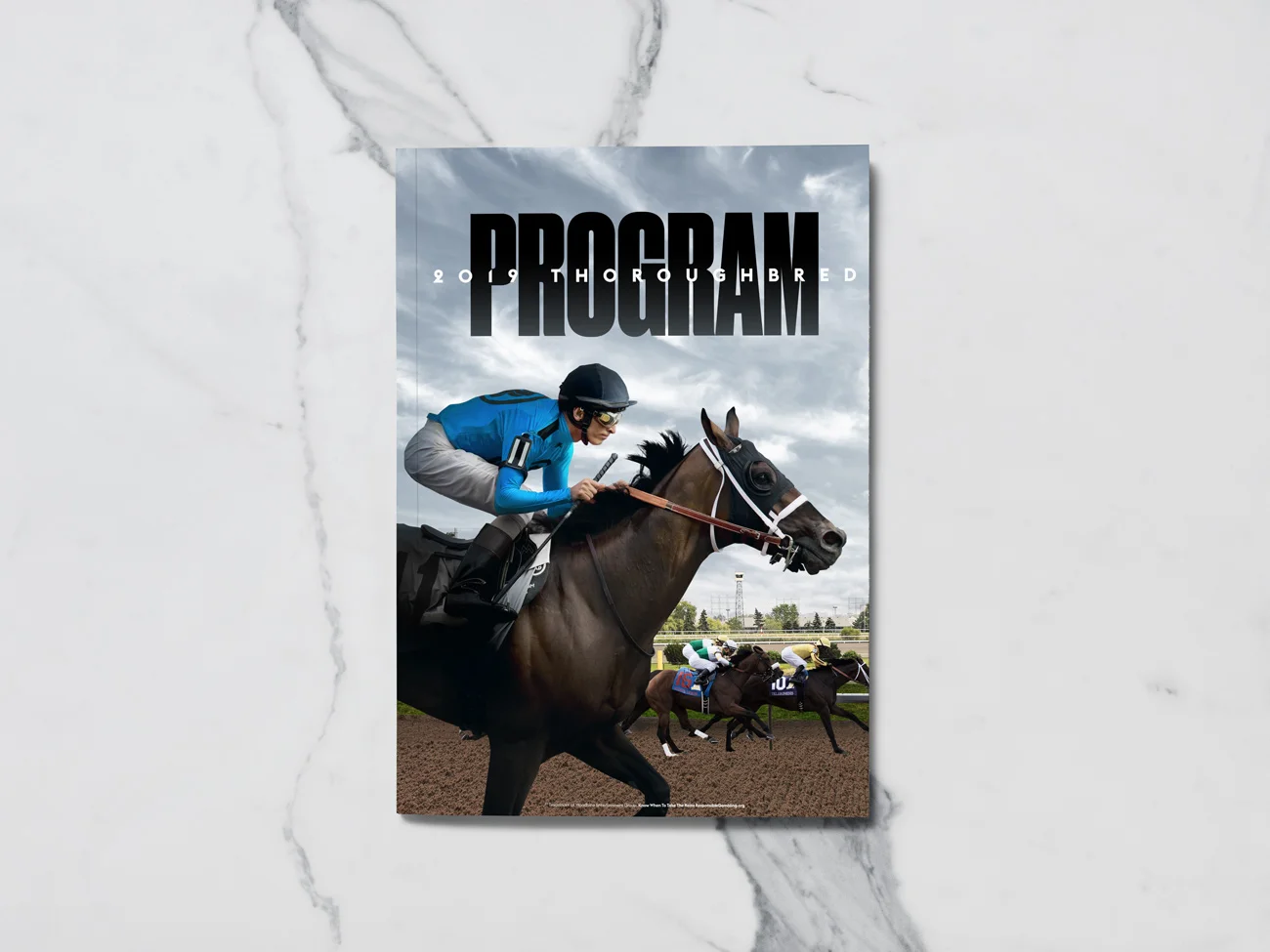 A5-Magazine-MockUp.jpg