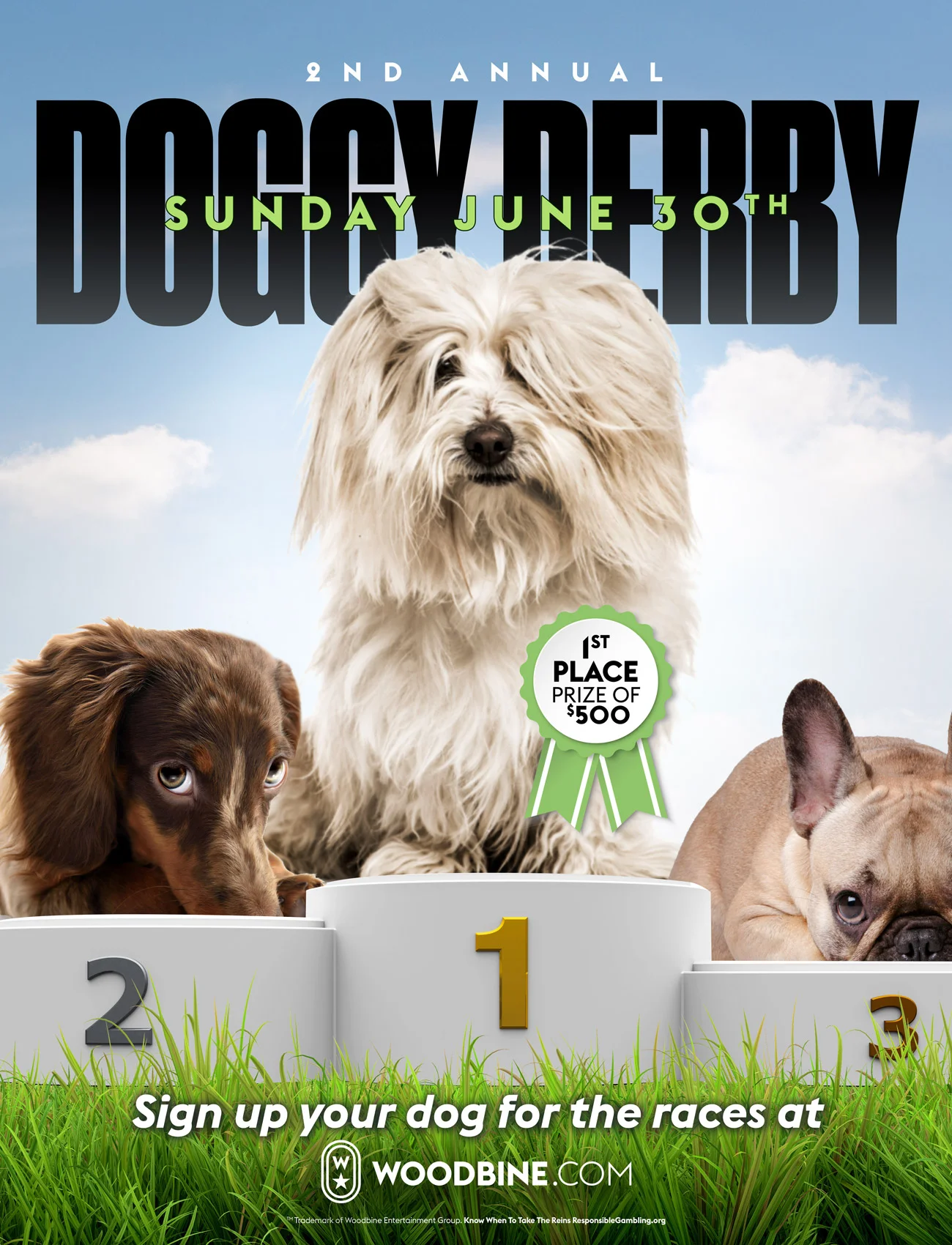 Woodbine---Doggy-Derby-v1-r2.jpg