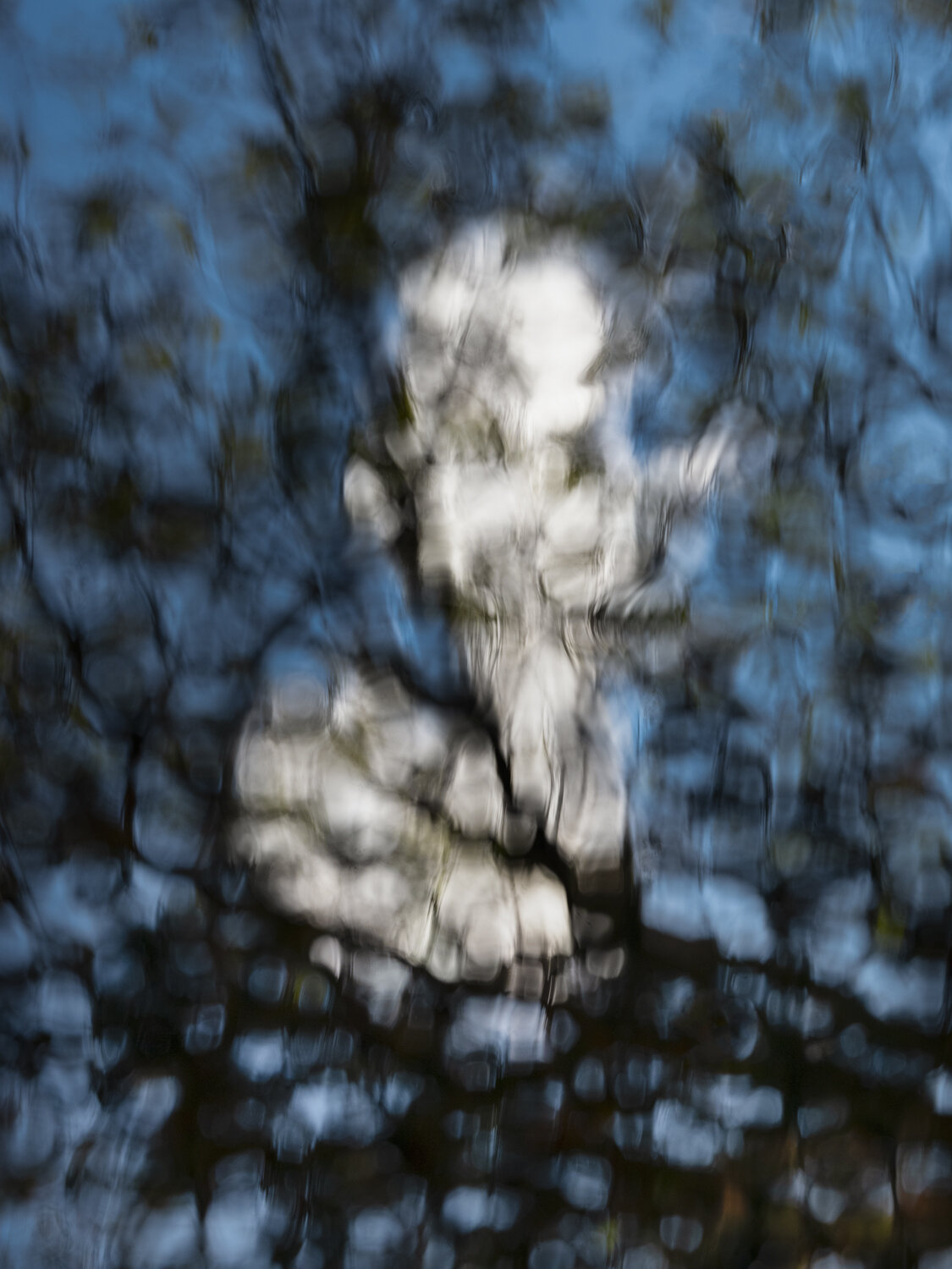 Reflections1-8.jpg