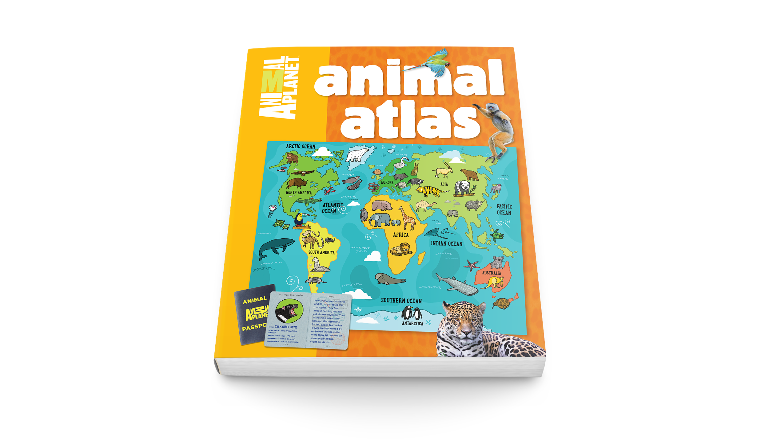 animal-atlas-cover2c-larger.png