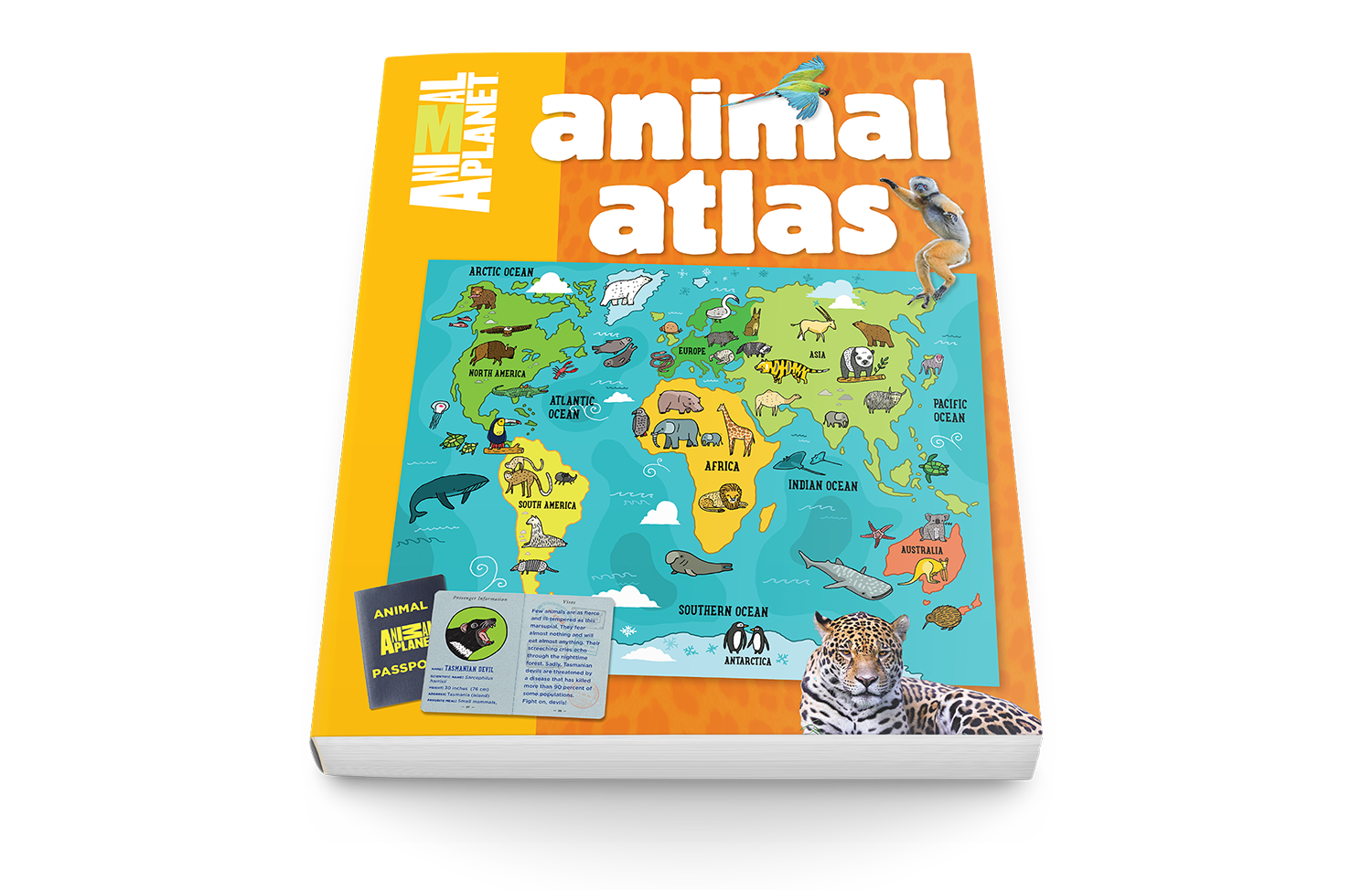 animal-atlas-cover2c.png