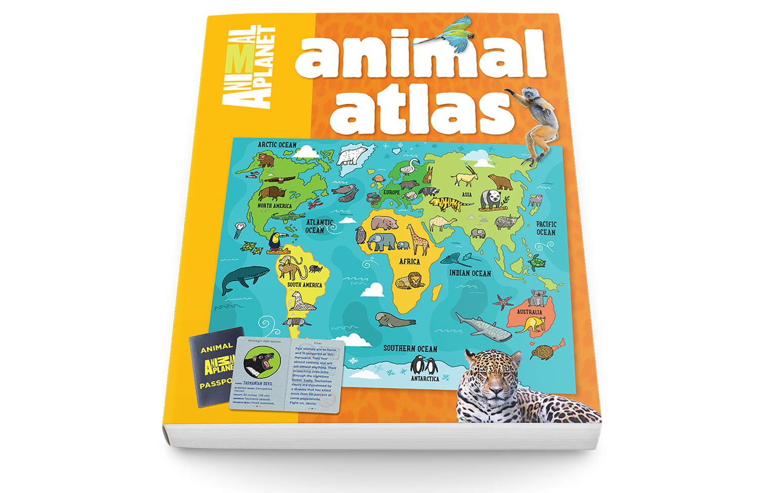 animal-atlas-cover2c.png