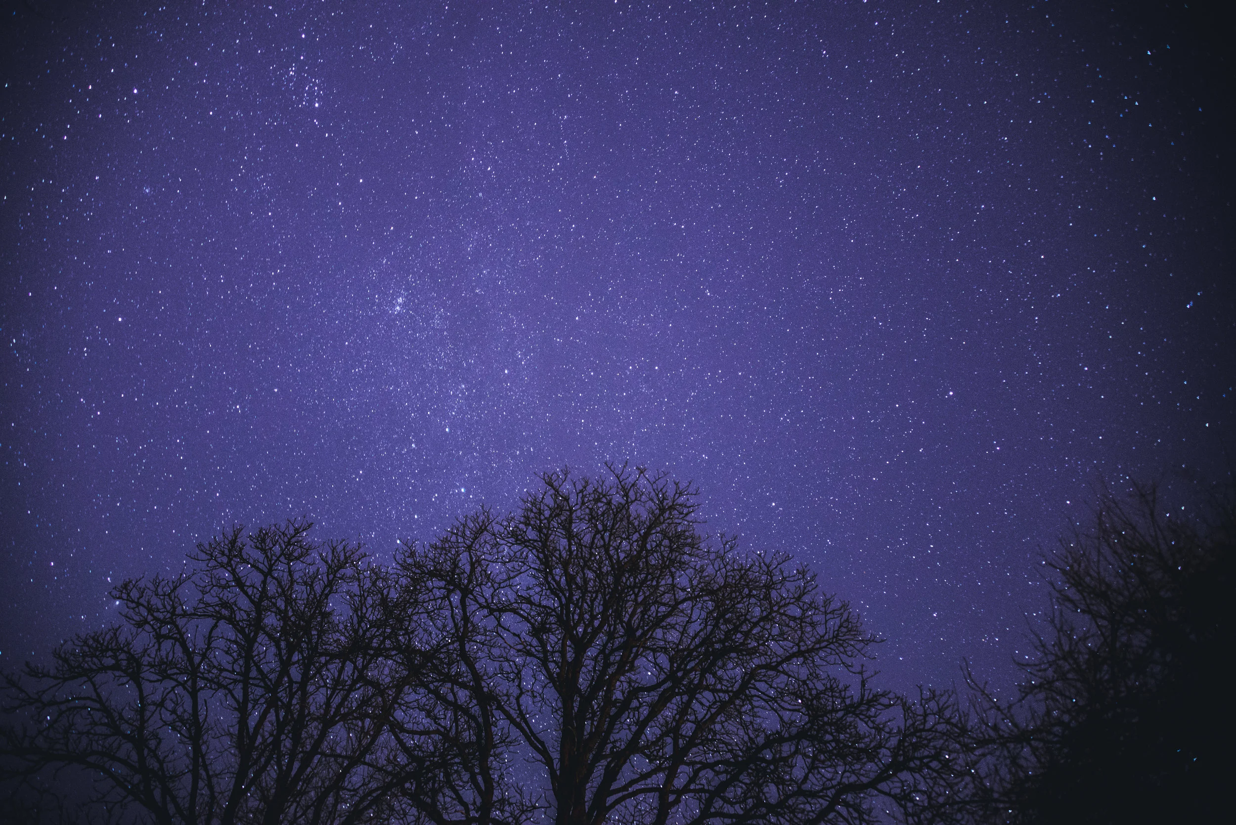 Is it Solitude or Isolation?