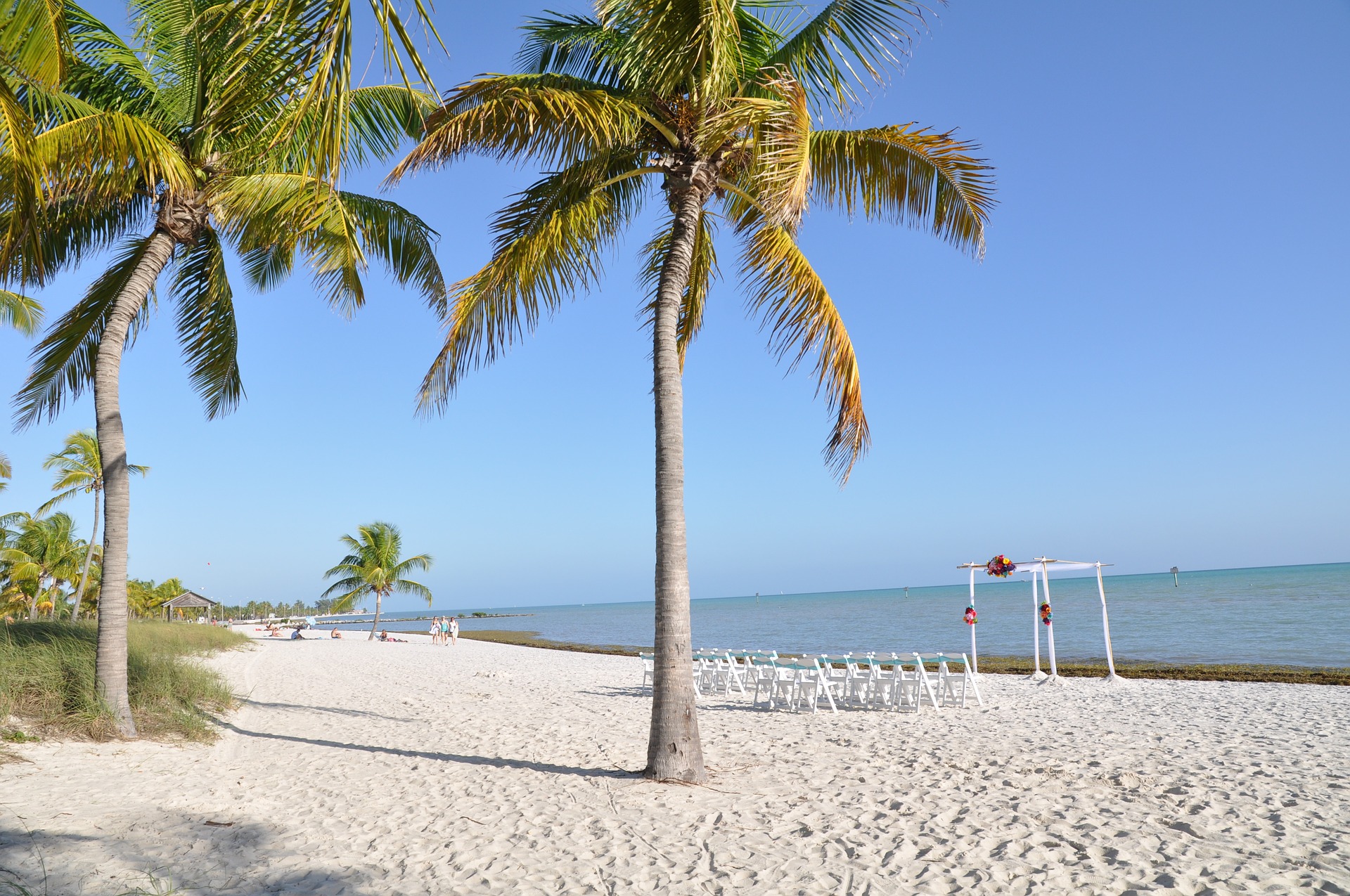palm-trees-648818_1920.jpg