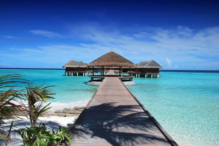 Doctors-Travel-Plan-Your-Honeymoon