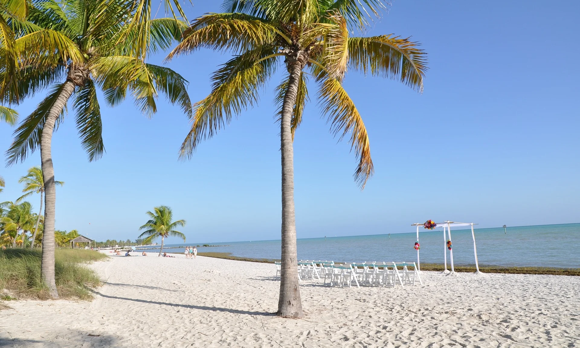 palm-trees-648818_1920.jpg