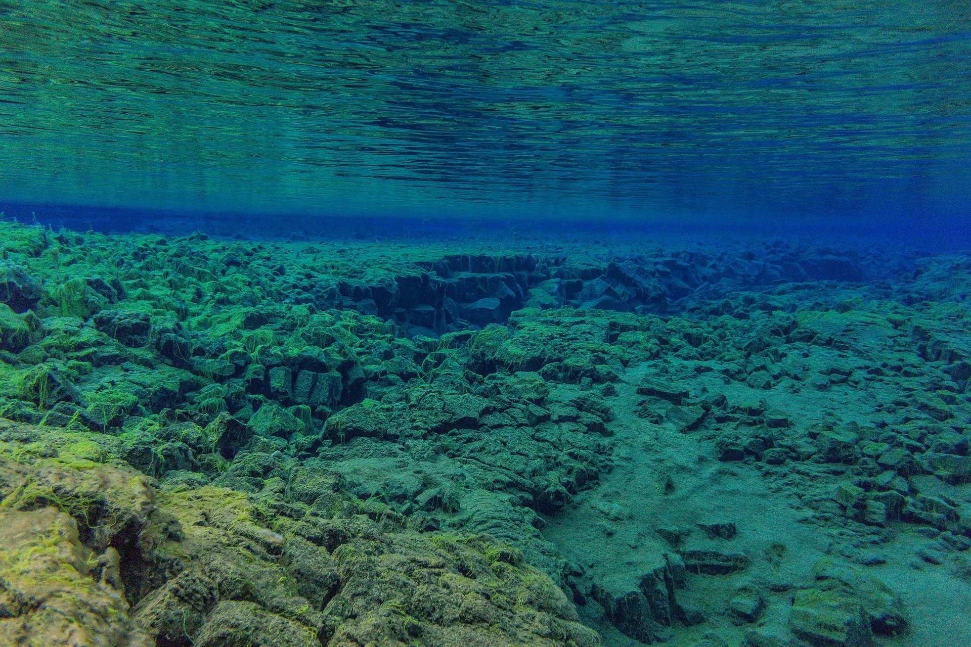 underwater-3237936_1920.jpg