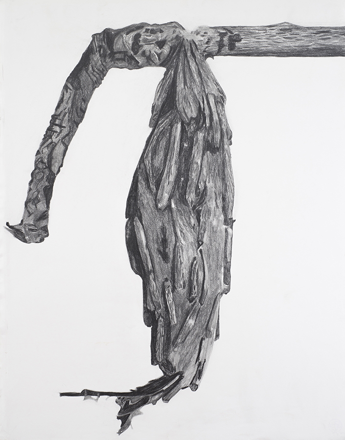 Chrysalis, pencil, 2014, 100 x 85 cm