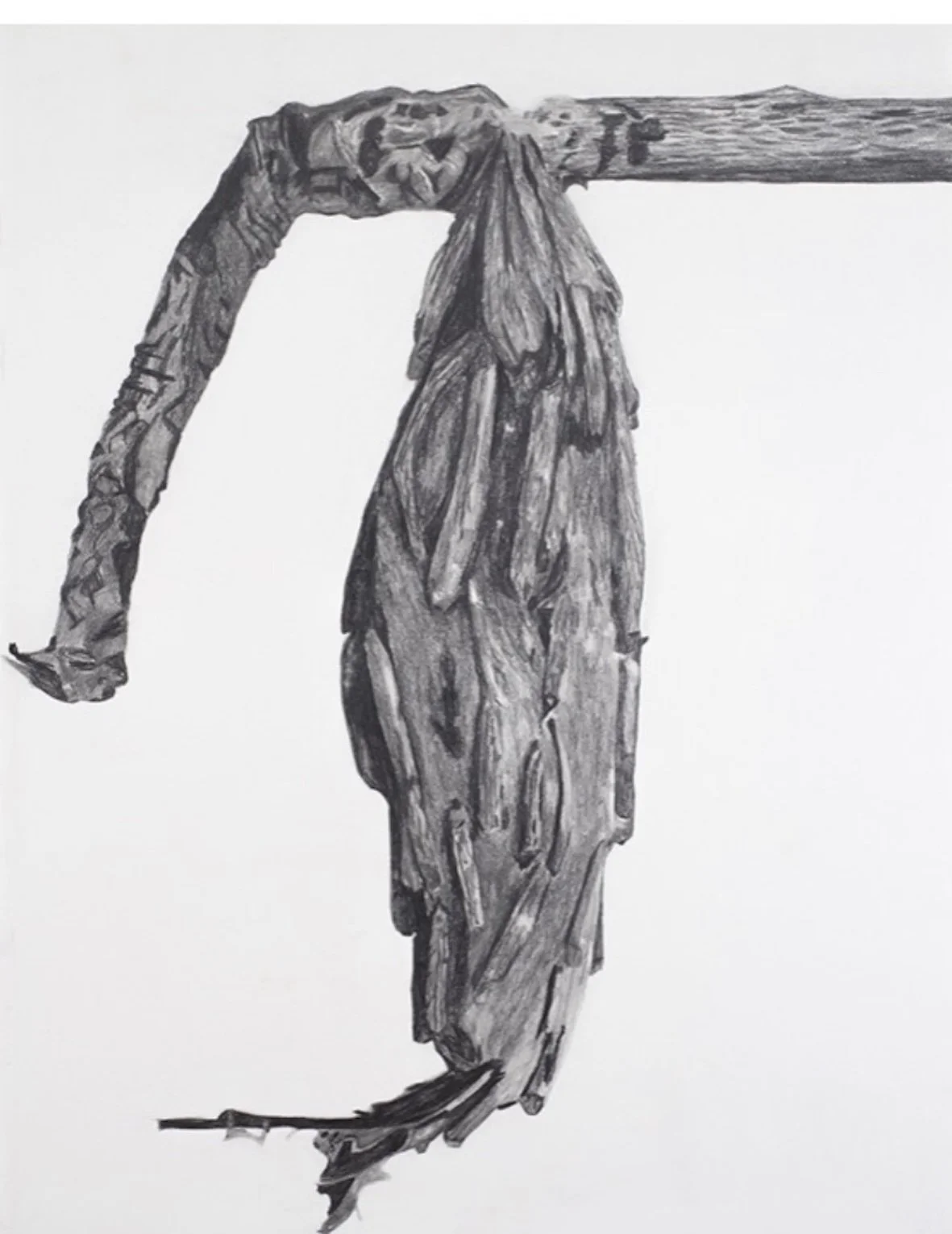 Shed crysalis