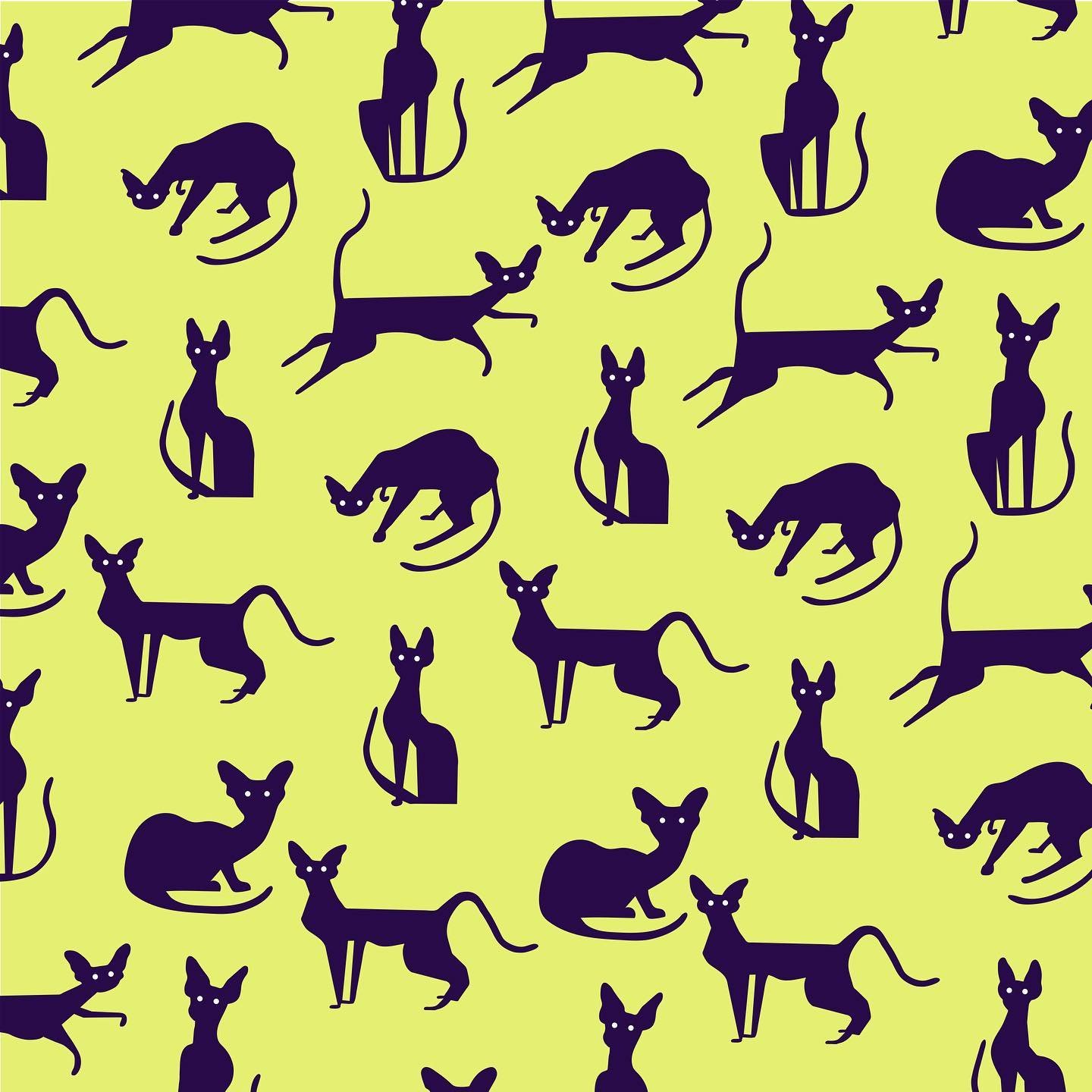 Cats. 
That is all.

#cats #illustration #design #repeatpattern #allthecats #digitalillustration