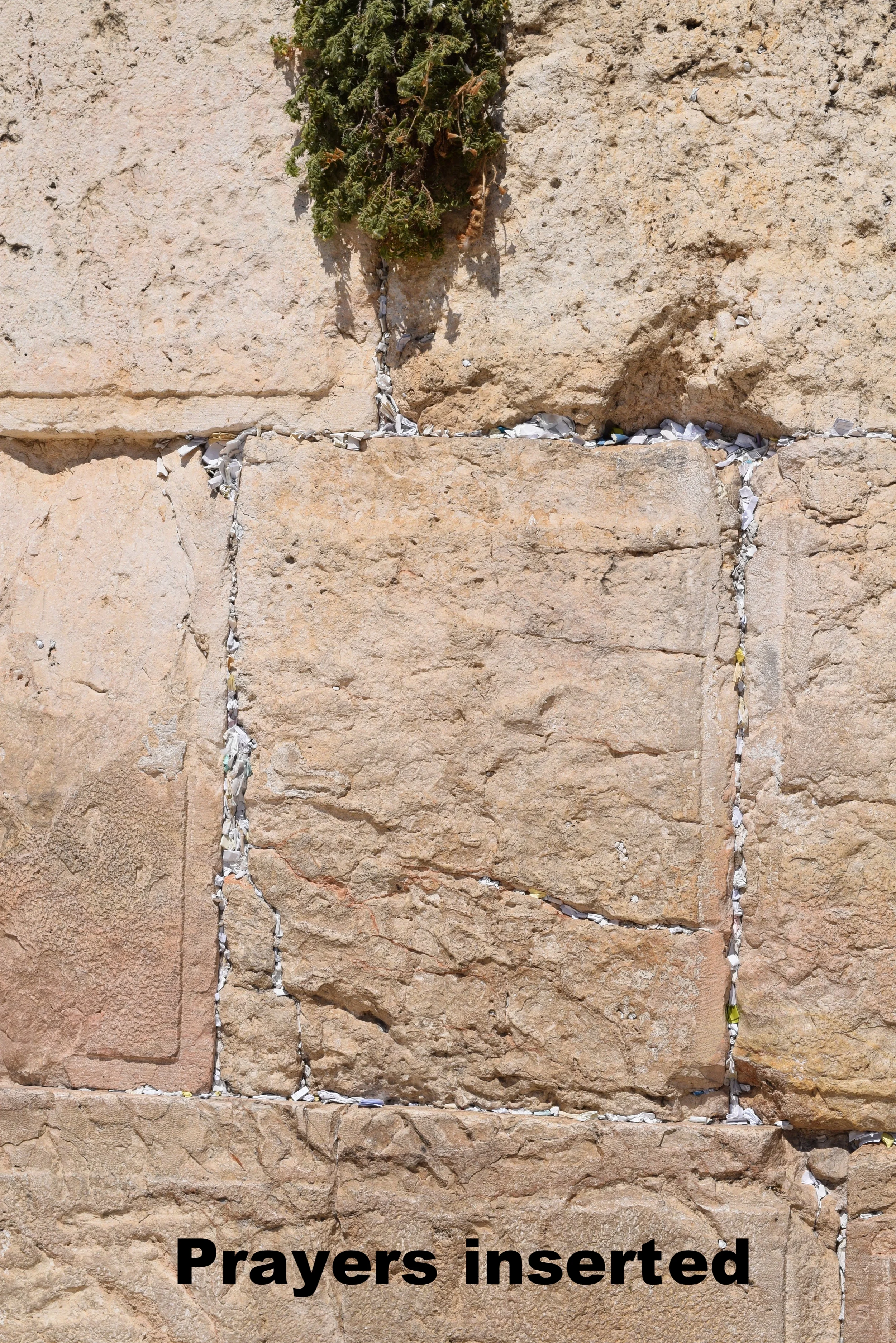 2016-07-07 05.22.21.jpg