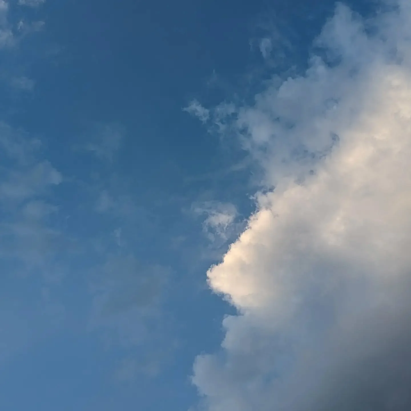 i was listening to taylor swift

#photography #pixel #pixel7pro #teampixel #hitsdifferent