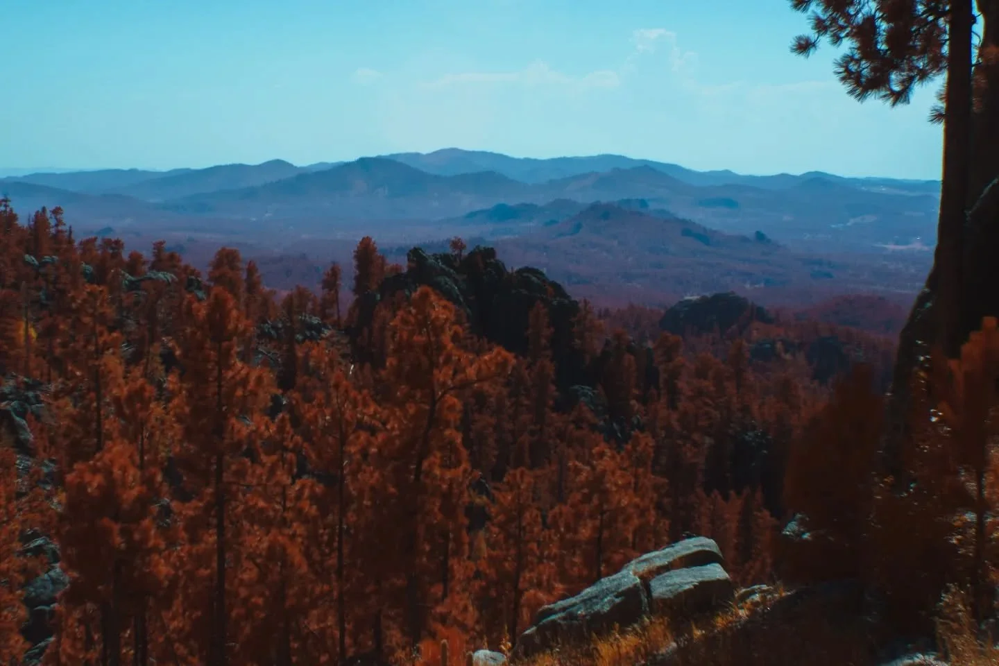 these are not my cameras. they are cameras that were left behind.

in the two years since we inherited these cameras, they've helped @lexwellman learn to shoot, traveled the country with us, created memories, and even been used on a short film. they 