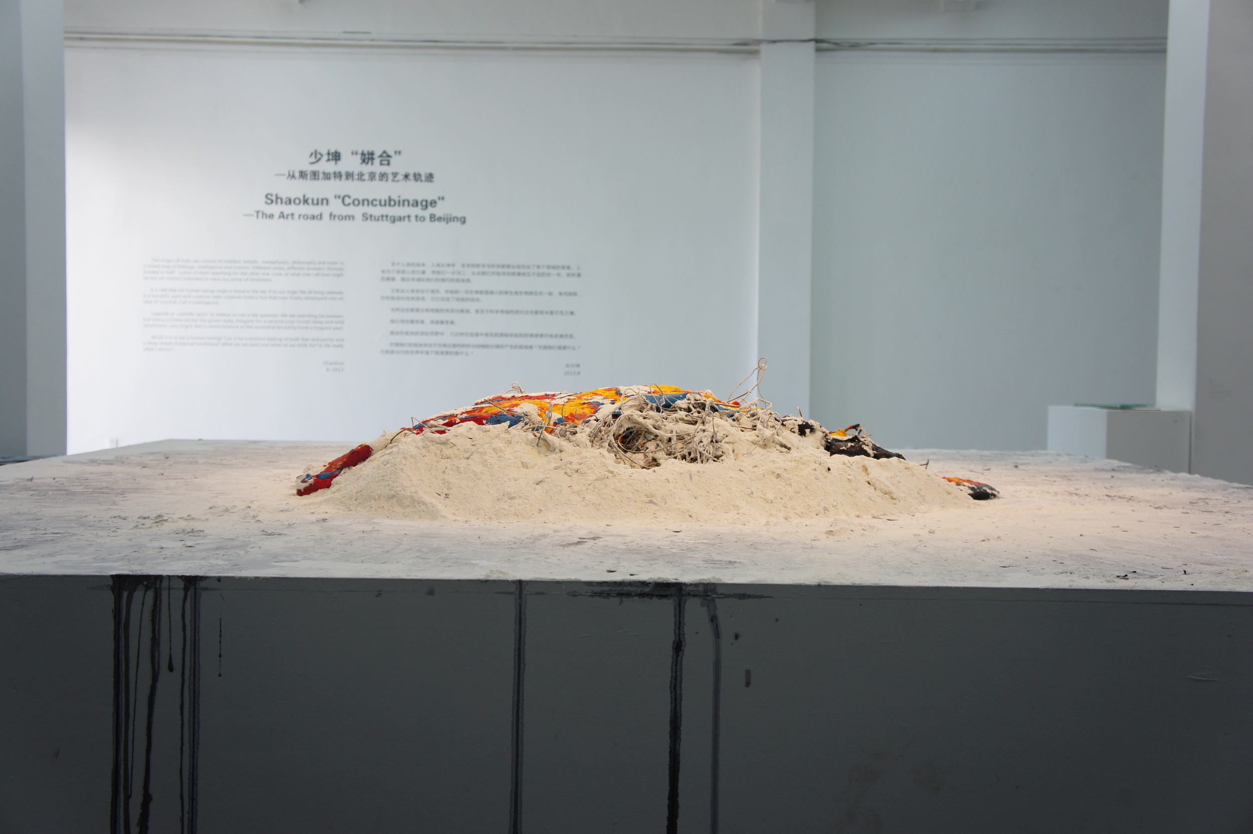 醒面系列1／2014/材料：面粉，发酵粉，色素／发酵过程：24小时／地点；北京库伯画廊
