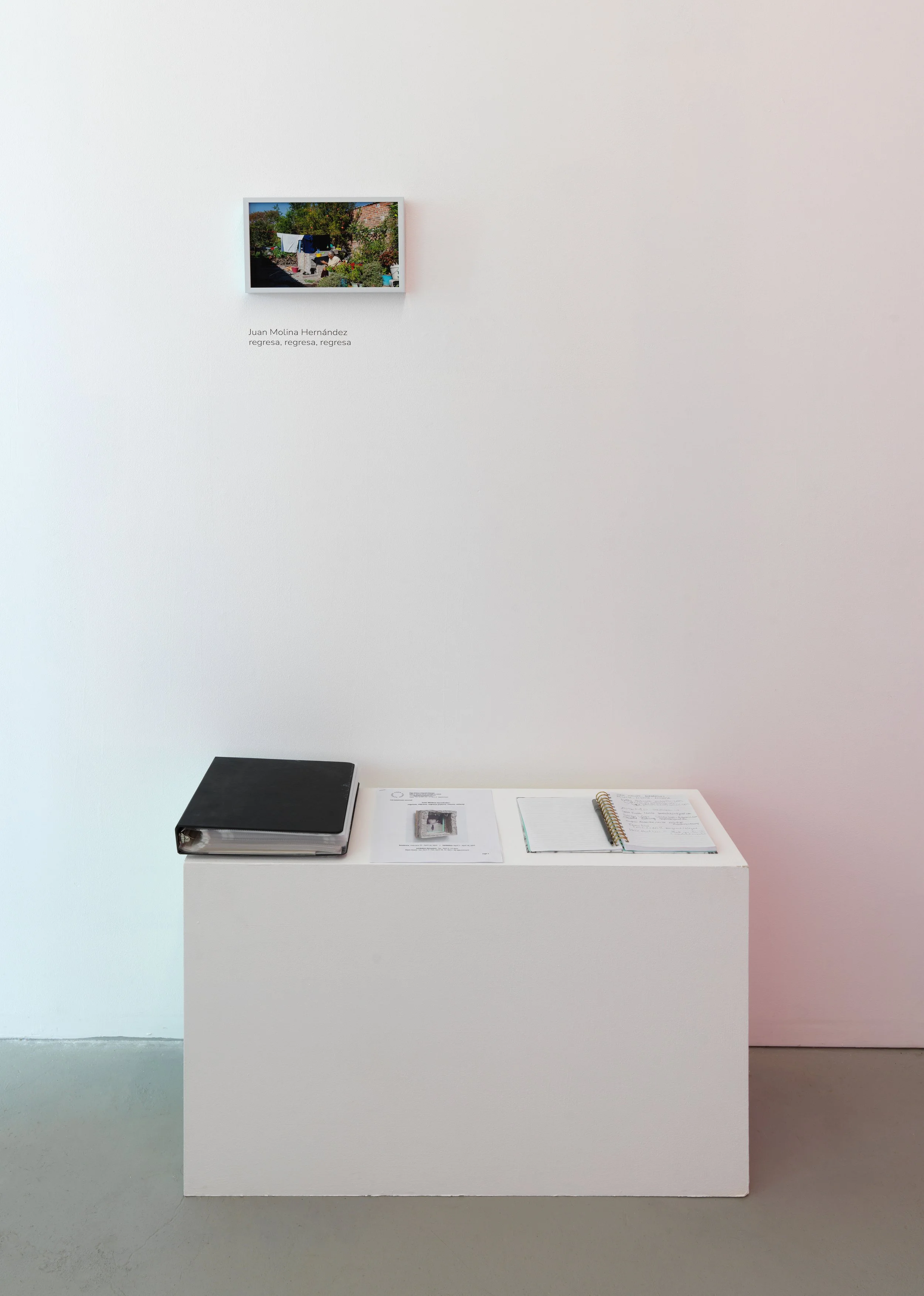   regresa, regresa, regresa (return, return, return)   Tiger Strikes Asteroid, Chicago, 2022  solo exhibition installation views 