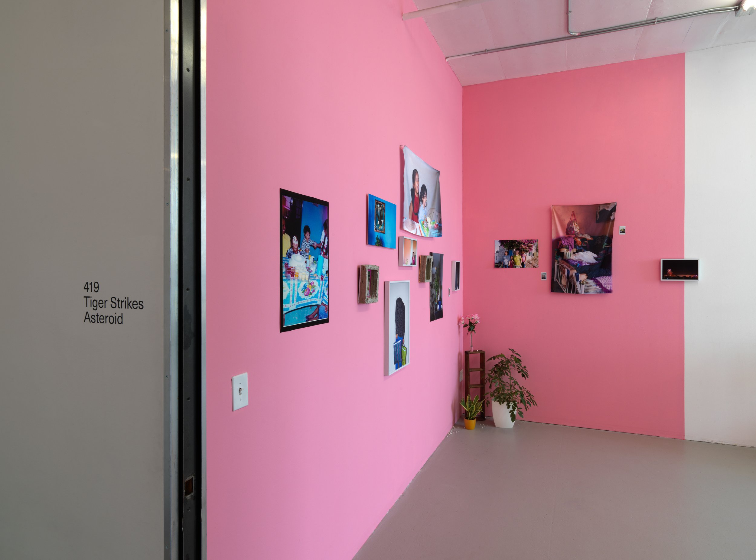   regresa, regresa, regresa (return, return, return)   Tiger Strikes Asteroid, Chicago, 2022  solo exhibition installation views 