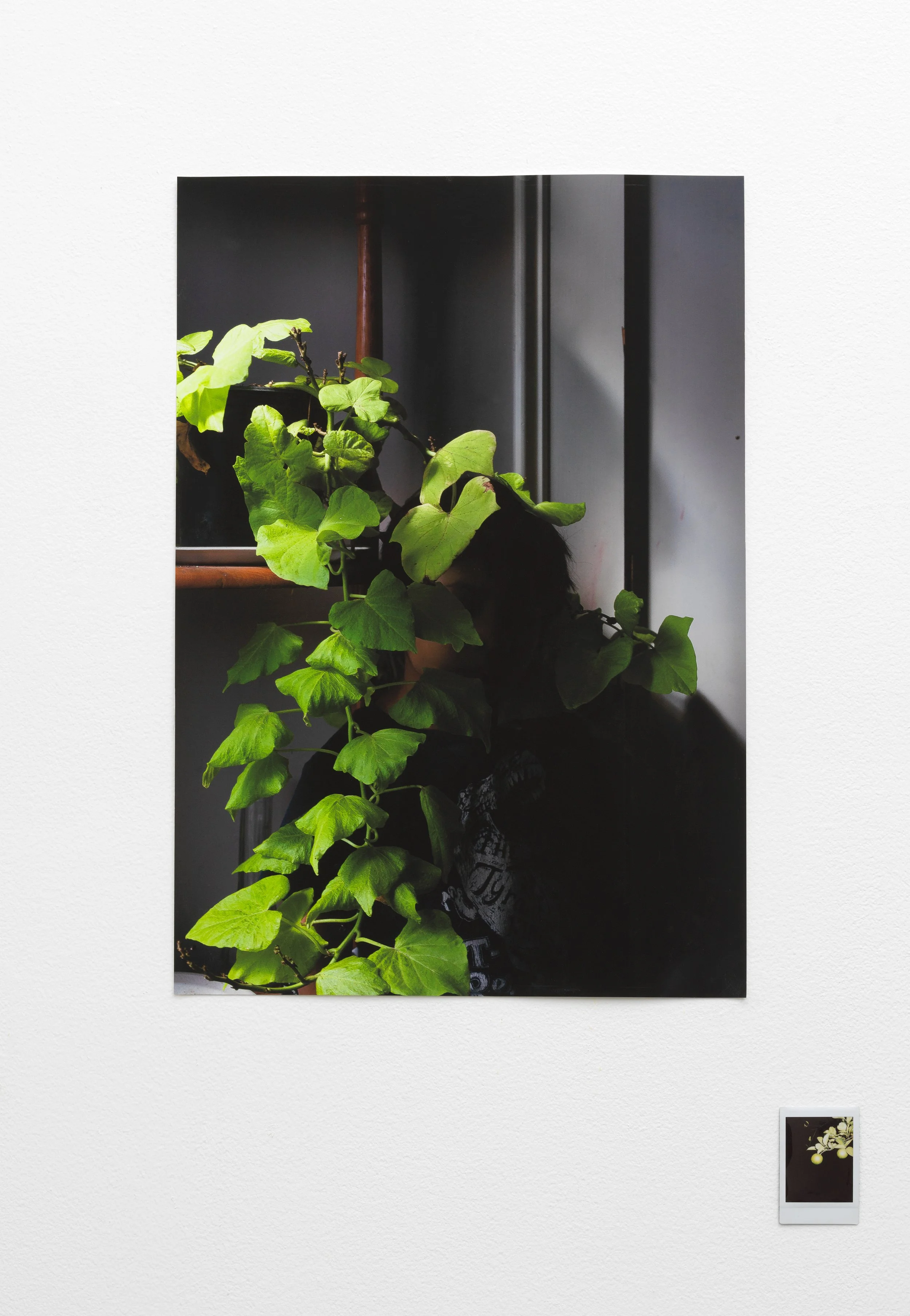   regresa, regresa, regresa (return, return, return)   Tiger Strikes Asteroid, Chicago, 2022  solo exhibition installation views 