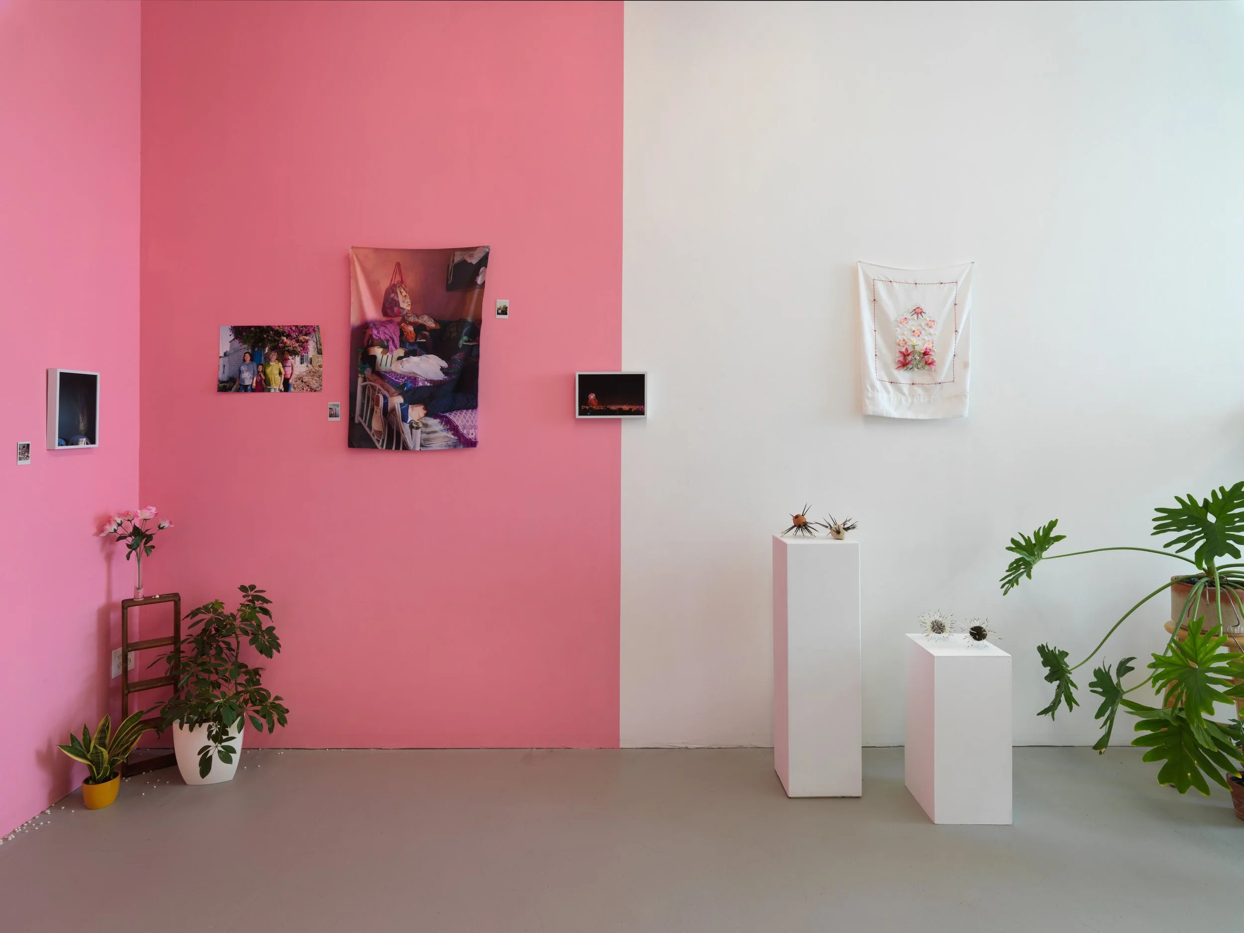   regresa, regresa, regresa (return, return, return)   Tiger Strikes Asteroid, Chicago, 2022  solo exhibition installation views 