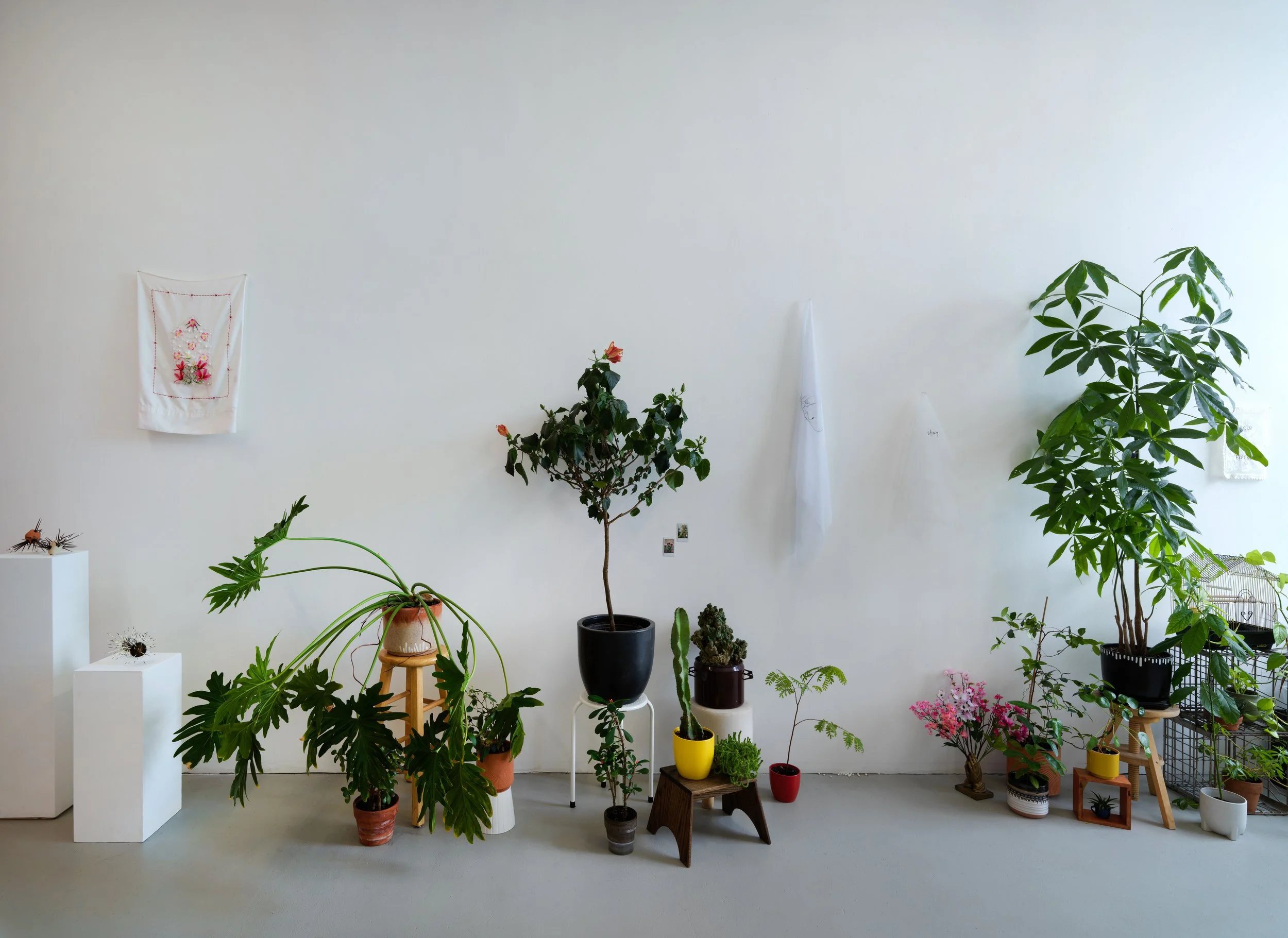   regresa, regresa, regresa (return, return, return)   Tiger Strikes Asteroid, Chicago, 2022  solo exhibition installation views 