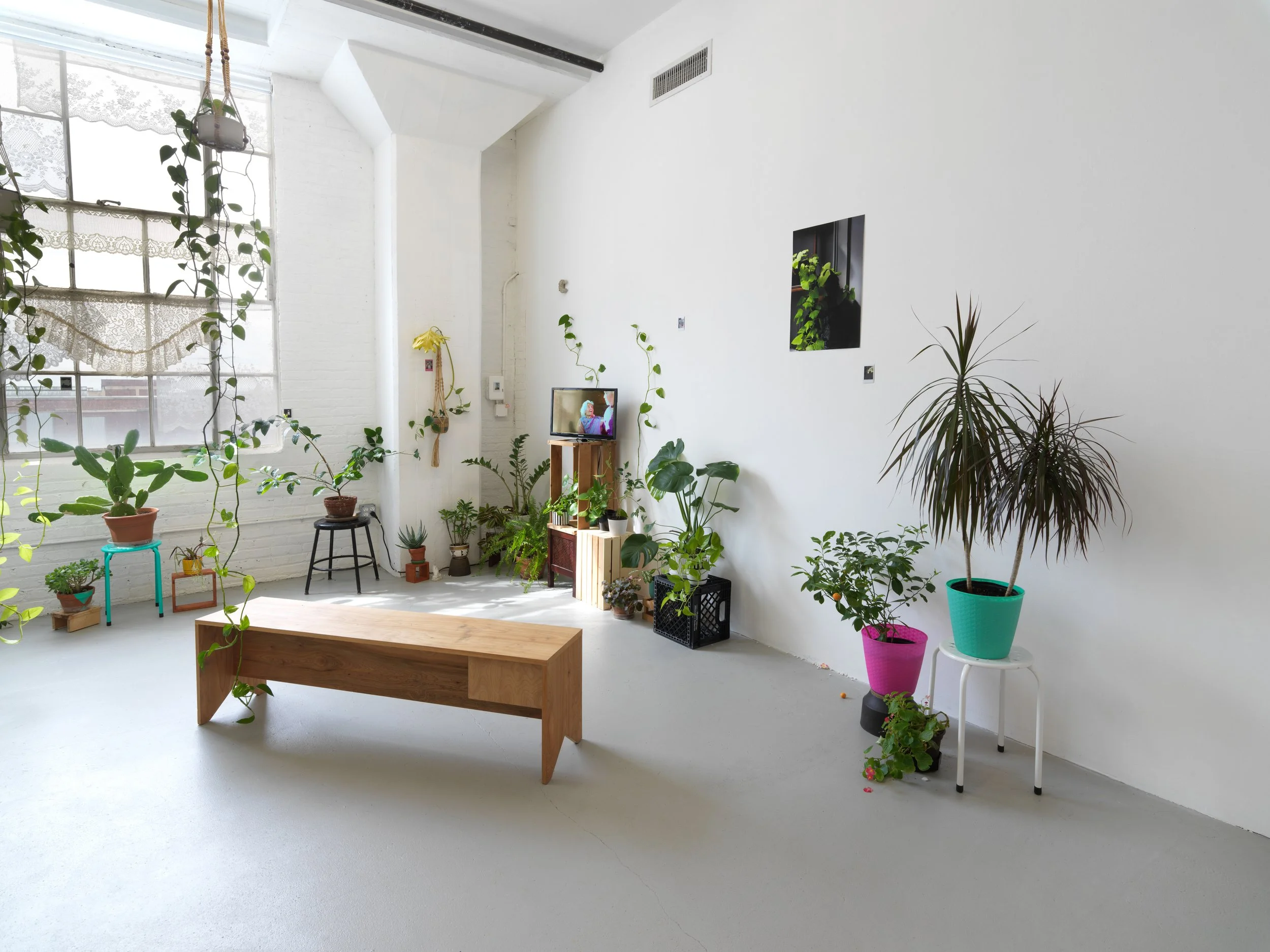   regresa, regresa, regresa (return, return, return)   Tiger Strikes Asteroid, Chicago, 2022  solo exhibition installation views 