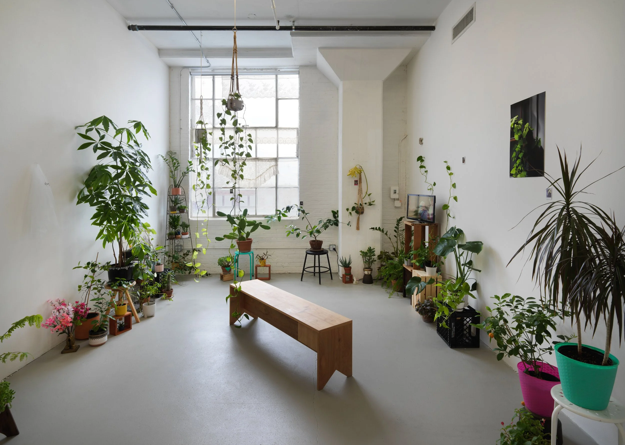   regresa, regresa, regresa (return, return, return)   Tiger Strikes Asteroid, Chicago, 2022  solo exhibition installation views 