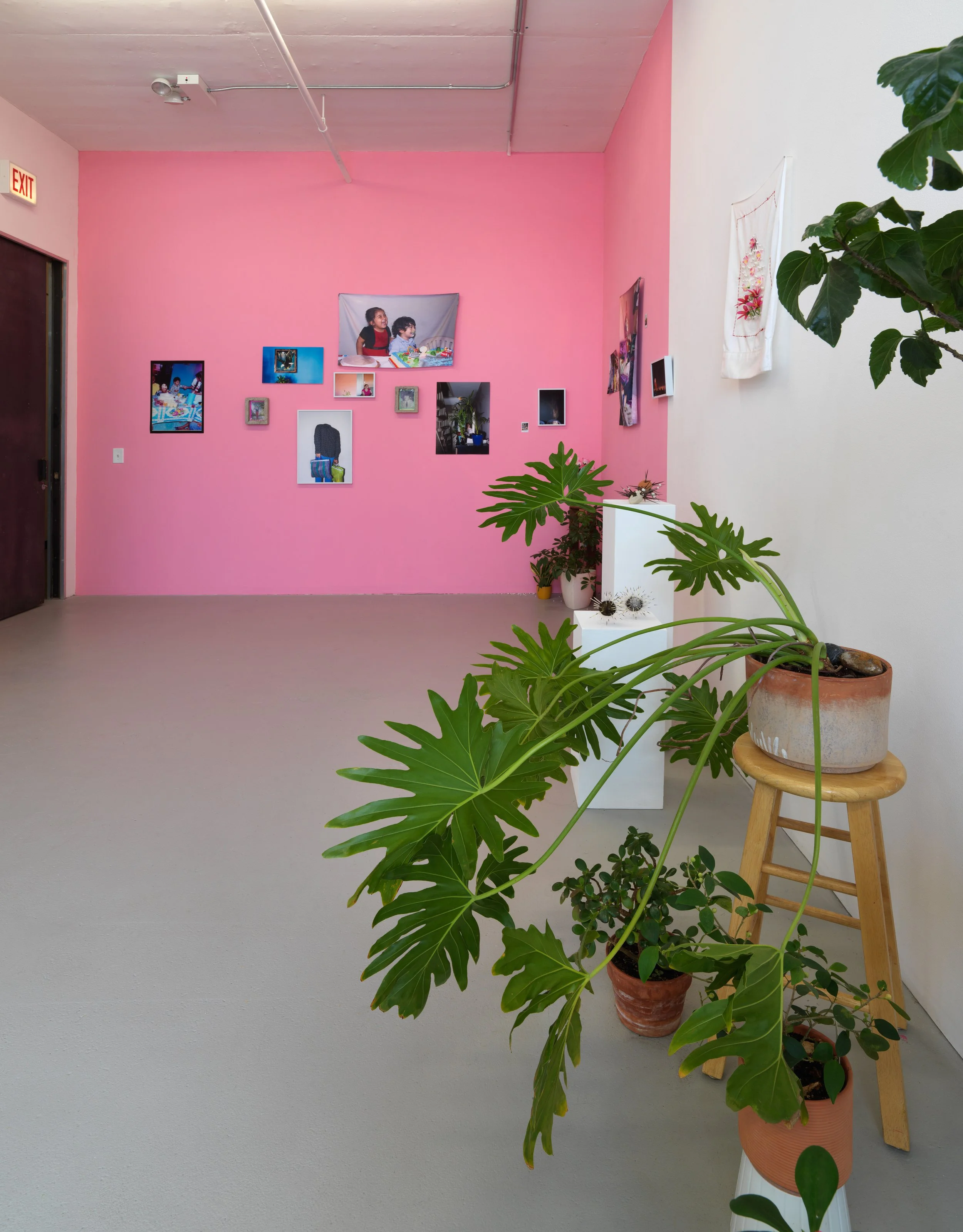   regresa, regresa, regresa (return, return, return)   Tiger Strikes Asteroid, Chicago, 2022  solo exhibition installation views 