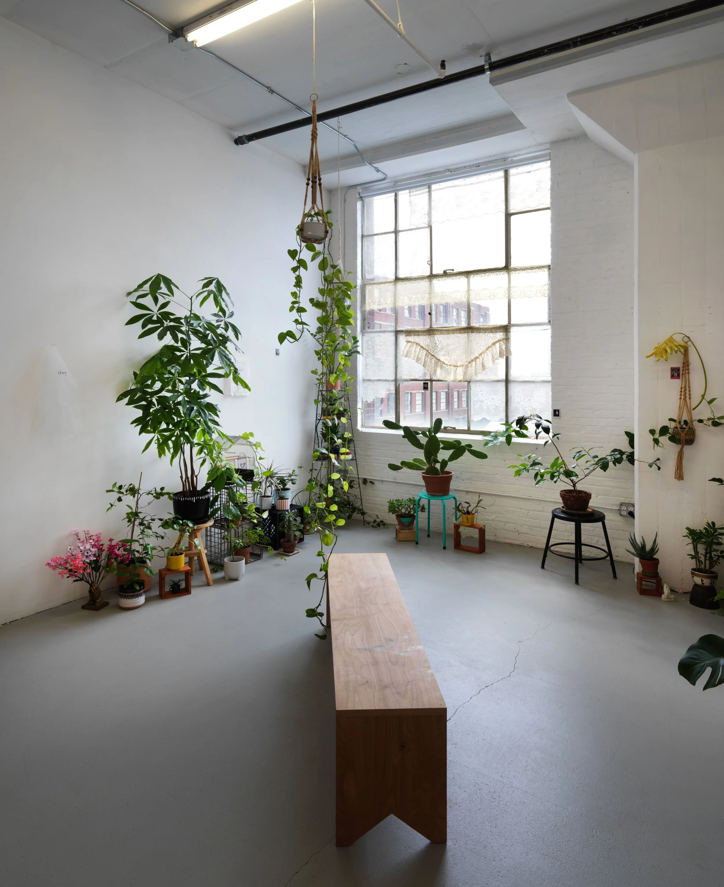   regresa, regresa, regresa (return, return, return)   Tiger Strikes Asteroid, Chicago, 2022  solo exhibition installation views 