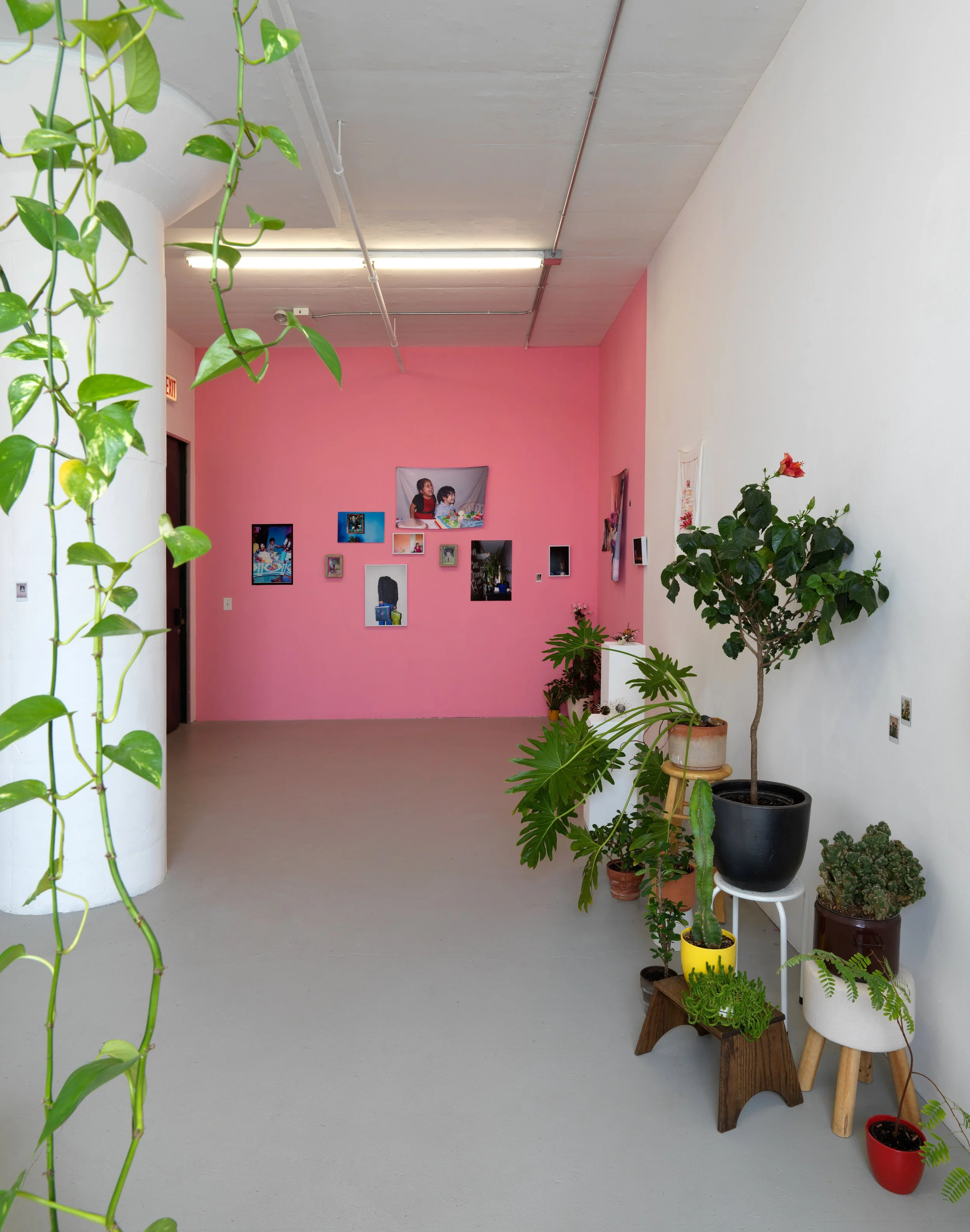   regresa, regresa, regresa (return, return, return)   Tiger Strikes Asteroid, Chicago, 2022  solo exhibition installation views 