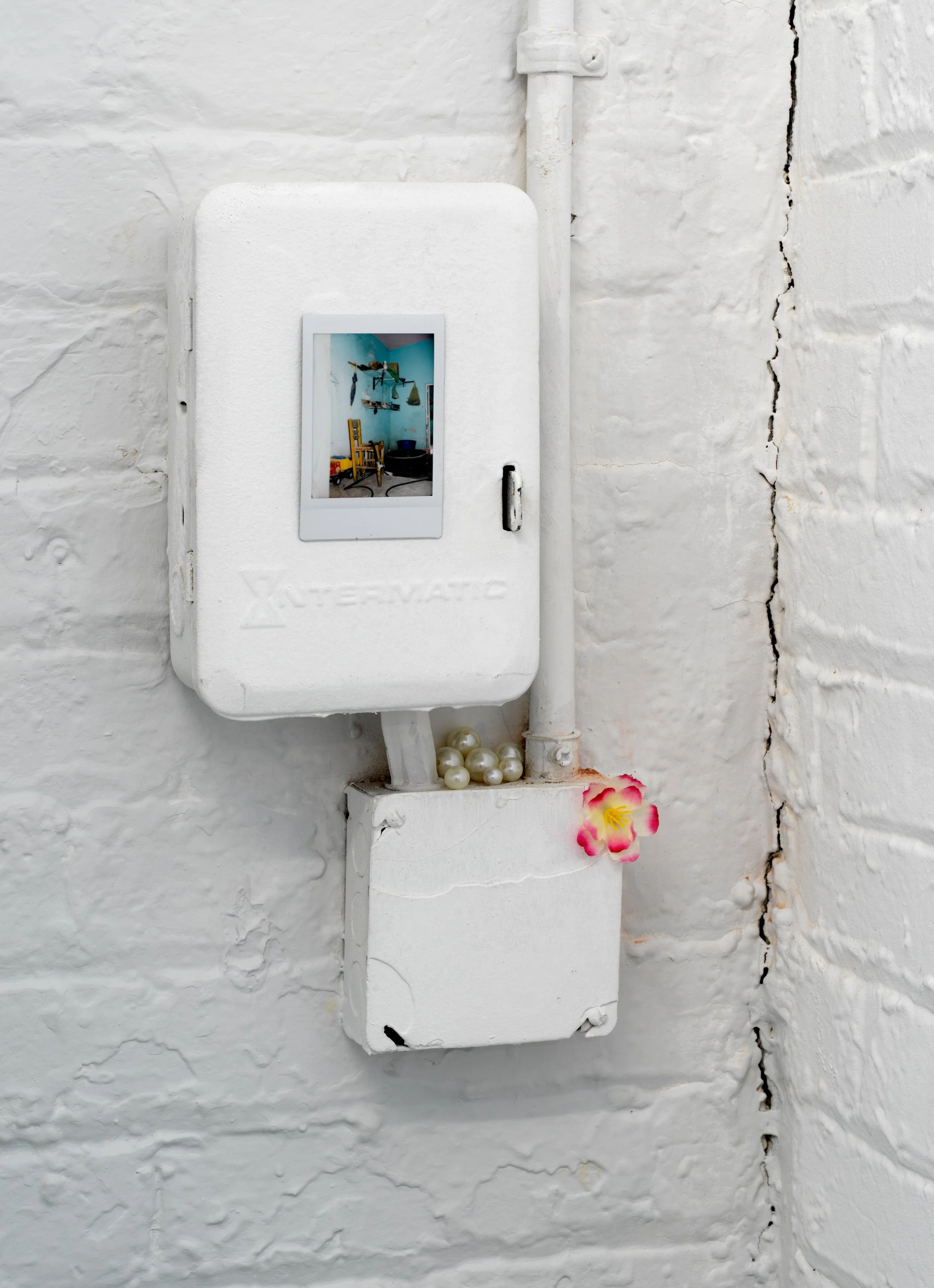   regresa, regresa, regresa (return, return, return)   Tiger Strikes Asteroid, Chicago, 2022  solo exhibition installation views 