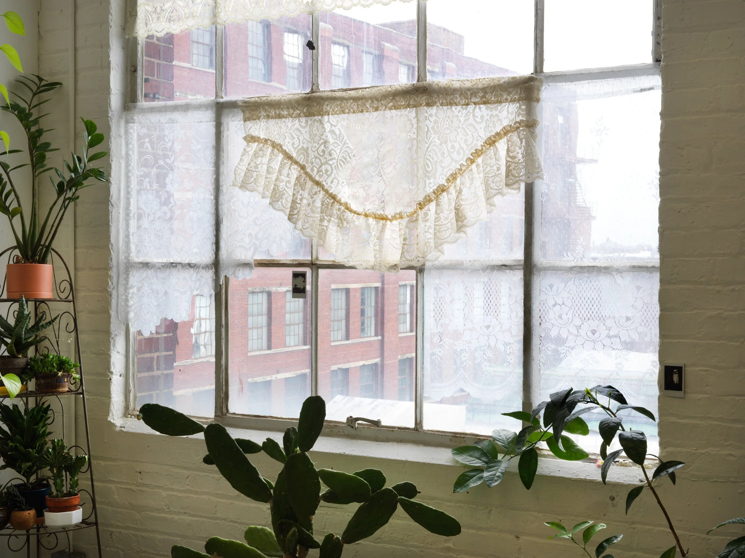   regresa, regresa, regresa (return, return, return)   Tiger Strikes Asteroid, Chicago, 2022  solo exhibition installation views 