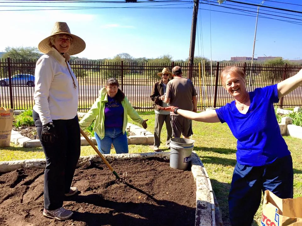 Maintaining the daylily display beds at Zilker Botanical Garden.