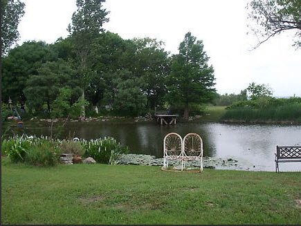 Water lilies, garden benches on pond edges